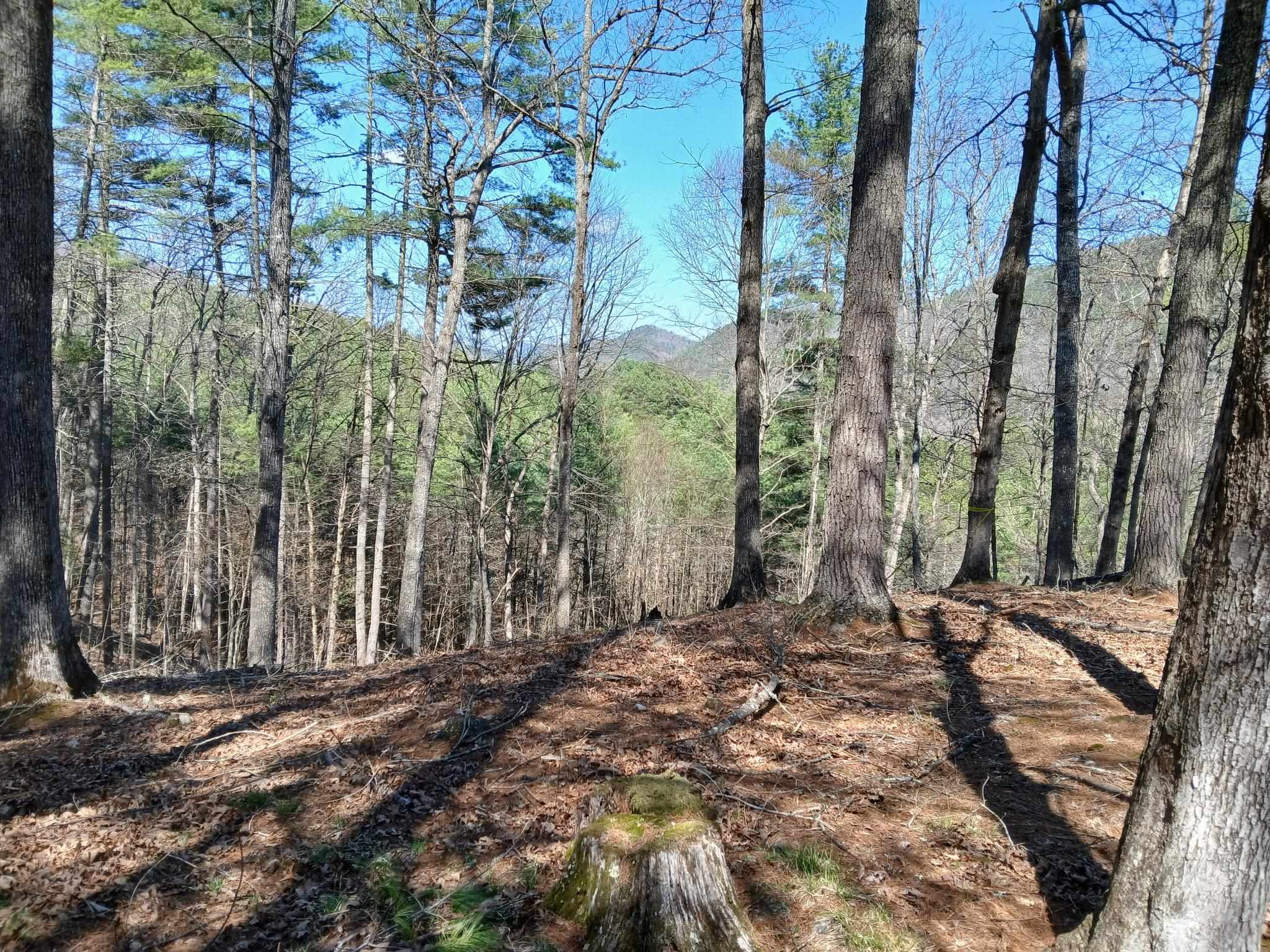 1242 COWPASTURE RIVER RD S, HEAD WATERS, Virginia 24442, 3 Bedrooms Bedrooms, ,2 BathroomsBathrooms,Residential,1242 COWPASTURE RIVER RD S,680754 MLS # 680754 1242 COWPASTURE RIVER RD S, HEAD WATERS, Virginia 24442, 3 Bedrooms Bedrooms, ,2 BathroomsBathrooms,Residential,1242 COWPASTURE RIVER RD S,680754 MLS # 680754