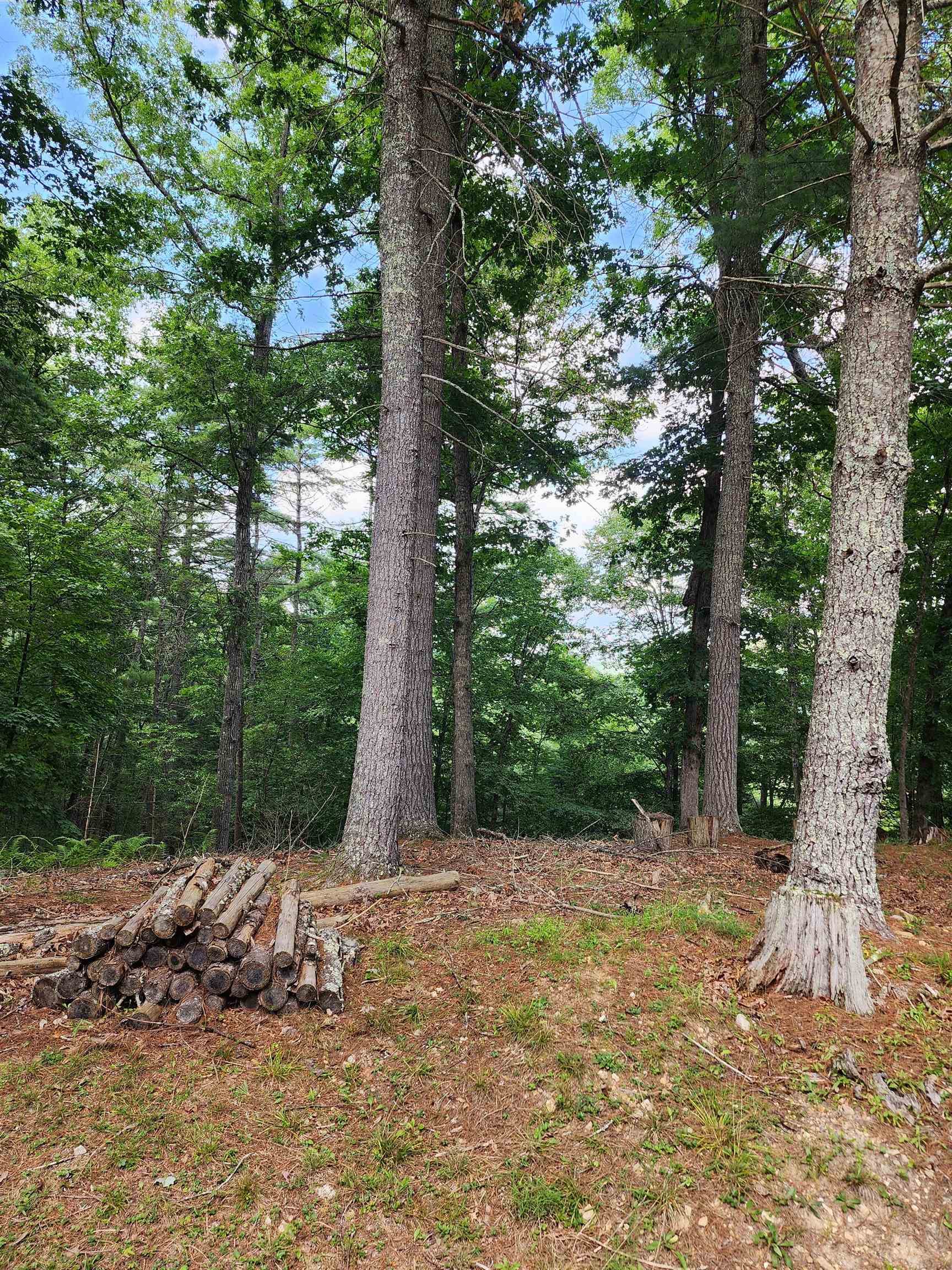 1242 COWPASTURE RIVER RD S, HEAD WATERS, Virginia 24442, 3 Bedrooms Bedrooms, ,2 BathroomsBathrooms,Residential,1242 COWPASTURE RIVER RD S,680754 MLS # 680754 1242 COWPASTURE RIVER RD S, HEAD WATERS, Virginia 24442, 3 Bedrooms Bedrooms, ,2 BathroomsBathrooms,Residential,1242 COWPASTURE RIVER RD S,680754 MLS # 680754