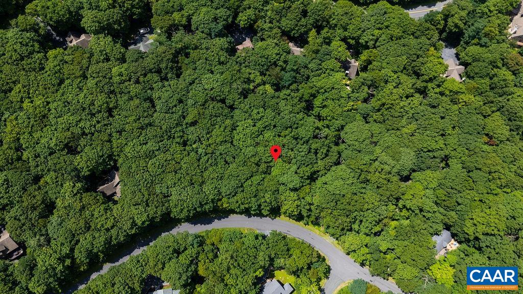 270 TIMBER CAMP DR, WINTERGREEN RESORT, Virginia 22967, ,Land,270 TIMBER CAMP DR,680757 MLS # 680757 270 TIMBER CAMP DR, WINTERGREEN RESORT, Virginia 22967, ,Land,270 TIMBER CAMP DR,680757 MLS # 680757