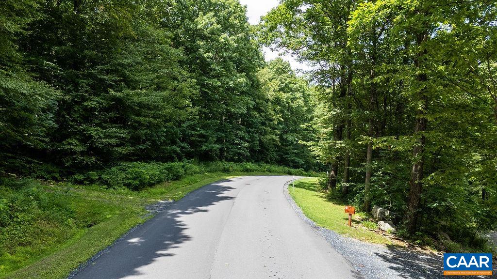 270 TIMBER CAMP DR, WINTERGREEN RESORT, Virginia 22967, ,Land,270 TIMBER CAMP DR,680757 MLS # 680757 270 TIMBER CAMP DR, WINTERGREEN RESORT, Virginia 22967, ,Land,270 TIMBER CAMP DR,680757 MLS # 680757