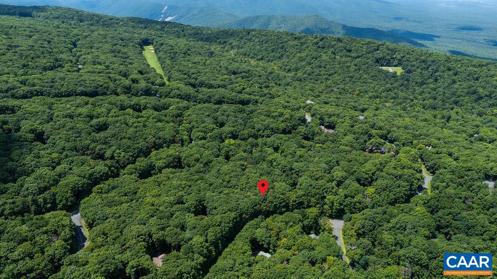 270 TIMBER CAMP DR, WINTERGREEN RESORT, Virginia 22967, ,Land,270 TIMBER CAMP DR,680757 MLS # 680757 270 TIMBER CAMP DR, WINTERGREEN RESORT, Virginia 22967, ,Land,270 TIMBER CAMP DR,680757 MLS # 680757