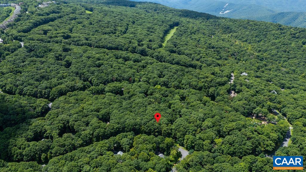 270 TIMBER CAMP DR, WINTERGREEN RESORT, Virginia 22967, ,Land,270 TIMBER CAMP DR,680757 MLS # 680757 270 TIMBER CAMP DR, WINTERGREEN RESORT, Virginia 22967, ,Land,270 TIMBER CAMP DR,680757 MLS # 680757