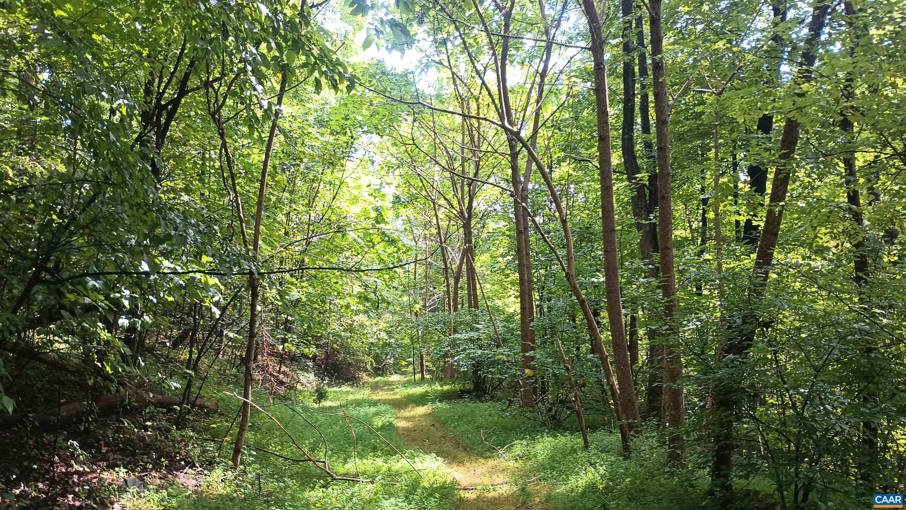 0 BATTERY HILL LN, TYRO, Virginia 22976, ,Land,0 BATTERY HILL LN,680762 MLS # 680762 0 BATTERY HILL LN, TYRO, Virginia 22976, ,Land,0 BATTERY HILL LN,680762 MLS # 680762