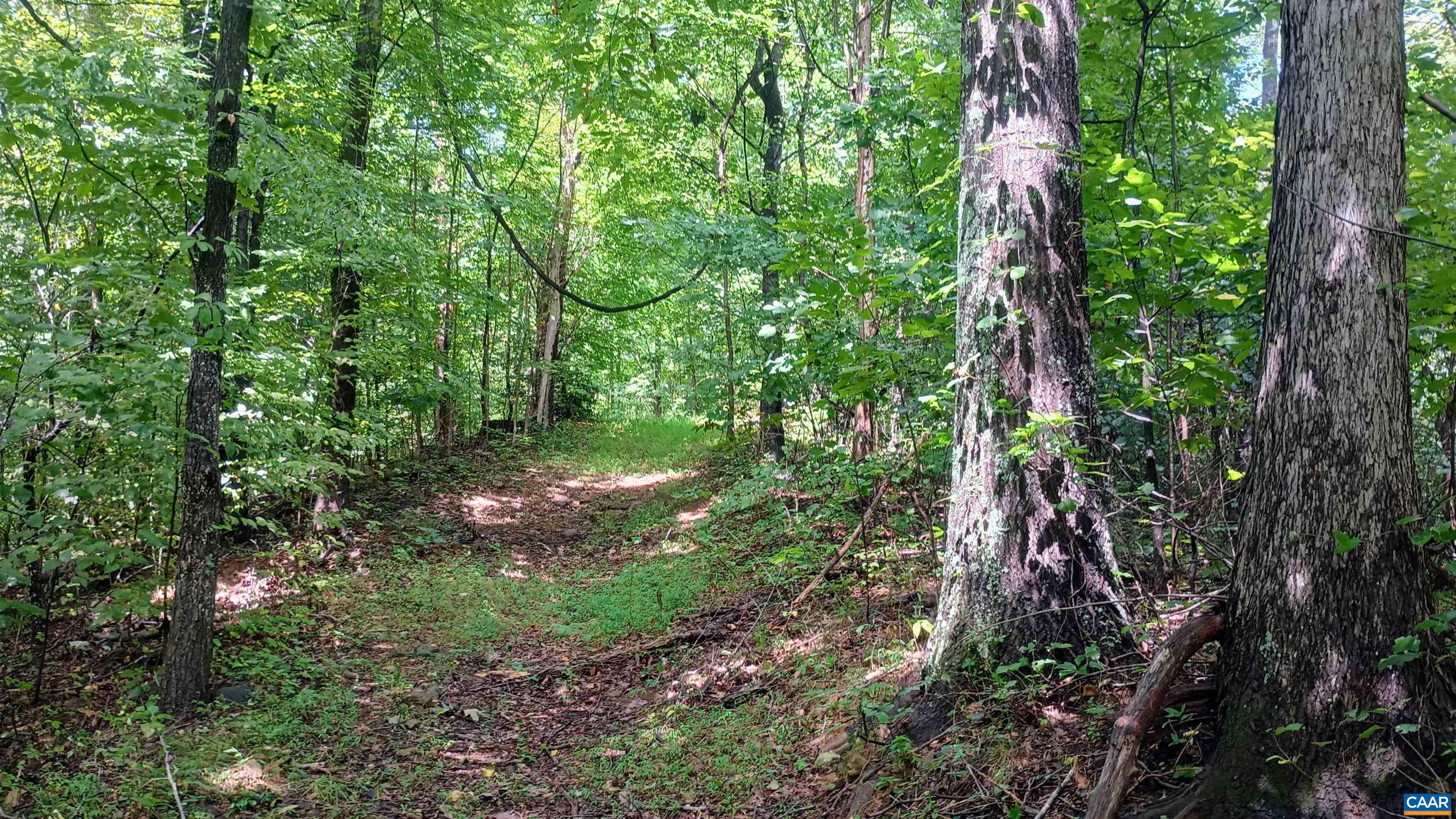 0 BATTERY HILL LN, TYRO, Virginia 22976, ,Land,0 BATTERY HILL LN,680762 MLS # 680762 0 BATTERY HILL LN, TYRO, Virginia 22976, ,Land,0 BATTERY HILL LN,680762 MLS # 680762