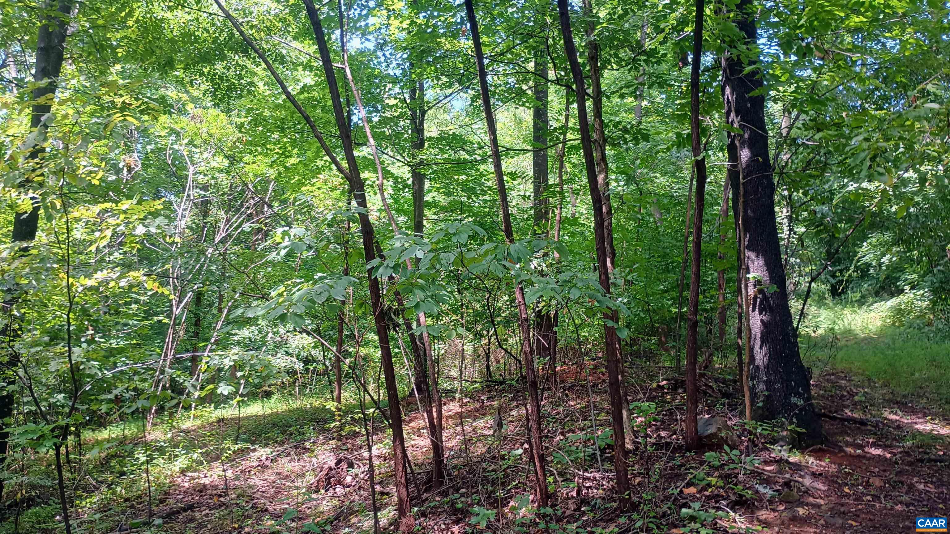 0 BATTERY HILL LN, TYRO, Virginia 22976, ,Land,0 BATTERY HILL LN,680762 MLS # 680762 0 BATTERY HILL LN, TYRO, Virginia 22976, ,Land,0 BATTERY HILL LN,680762 MLS # 680762