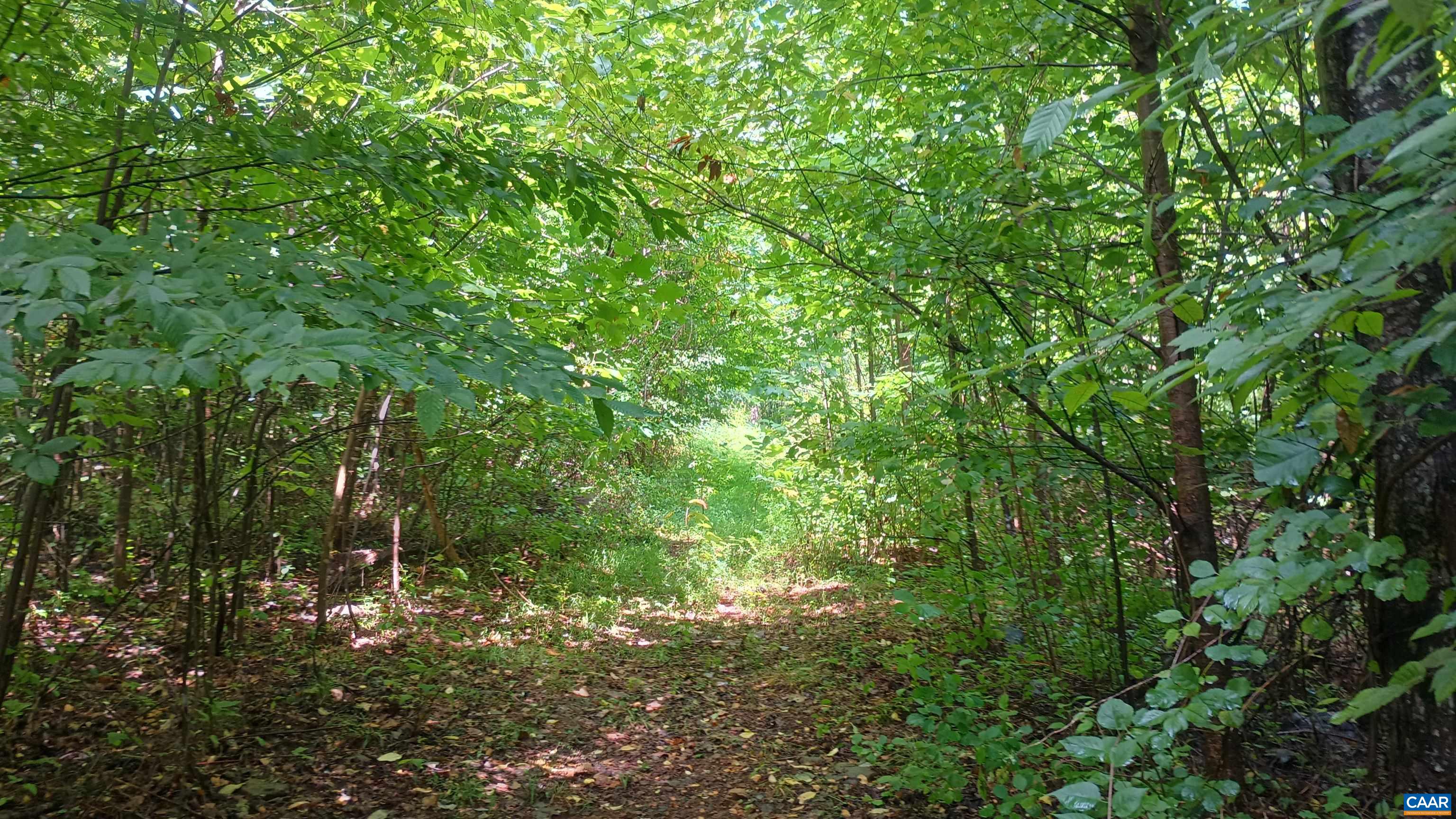 0 BATTERY HILL LN, TYRO, Virginia 22976, ,Land,0 BATTERY HILL LN,680762 MLS # 680762 0 BATTERY HILL LN, TYRO, Virginia 22976, ,Land,0 BATTERY HILL LN,680762 MLS # 680762