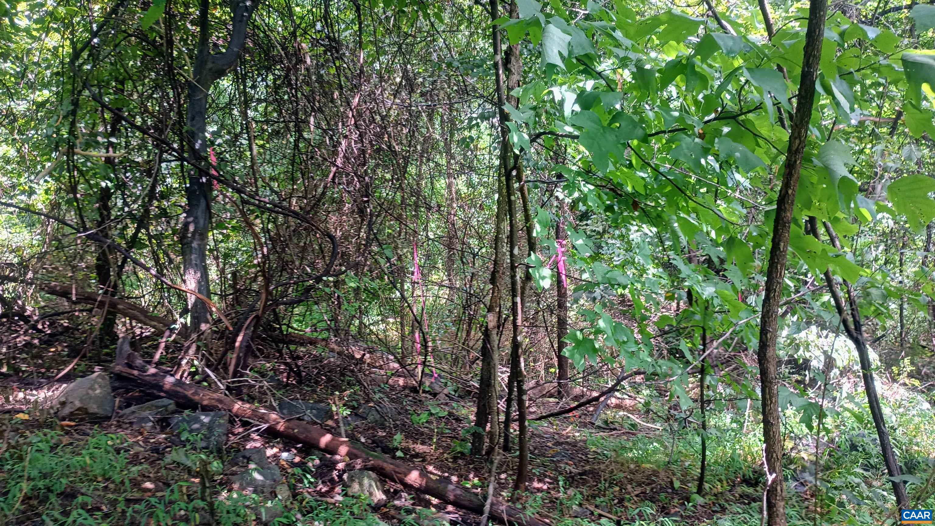 0 BATTERY HILL LN, TYRO, Virginia 22976, ,Land,0 BATTERY HILL LN,680762 MLS # 680762 0 BATTERY HILL LN, TYRO, Virginia 22976, ,Land,0 BATTERY HILL LN,680762 MLS # 680762