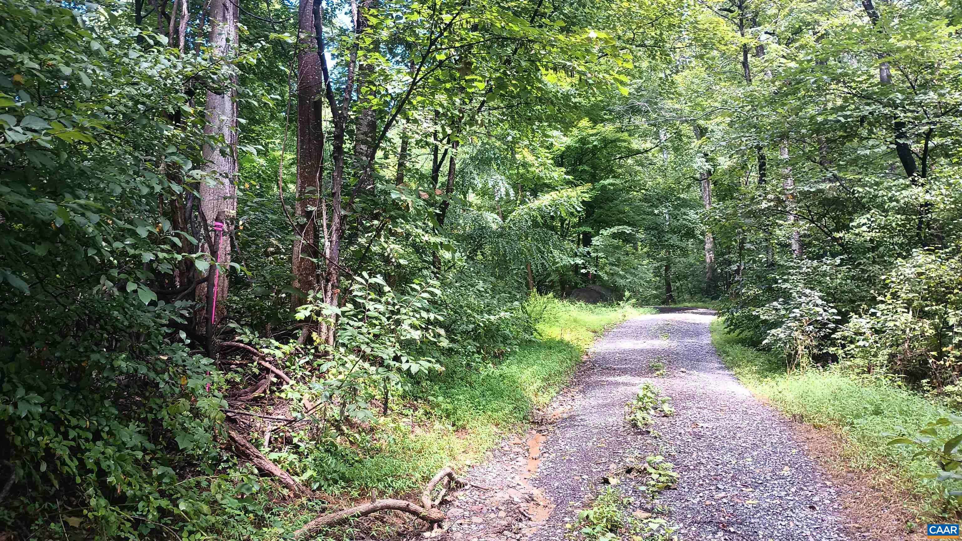 0 BATTERY HILL LN, TYRO, Virginia 22976, ,Land,0 BATTERY HILL LN,680762 MLS # 680762 0 BATTERY HILL LN, TYRO, Virginia 22976, ,Land,0 BATTERY HILL LN,680762 MLS # 680762