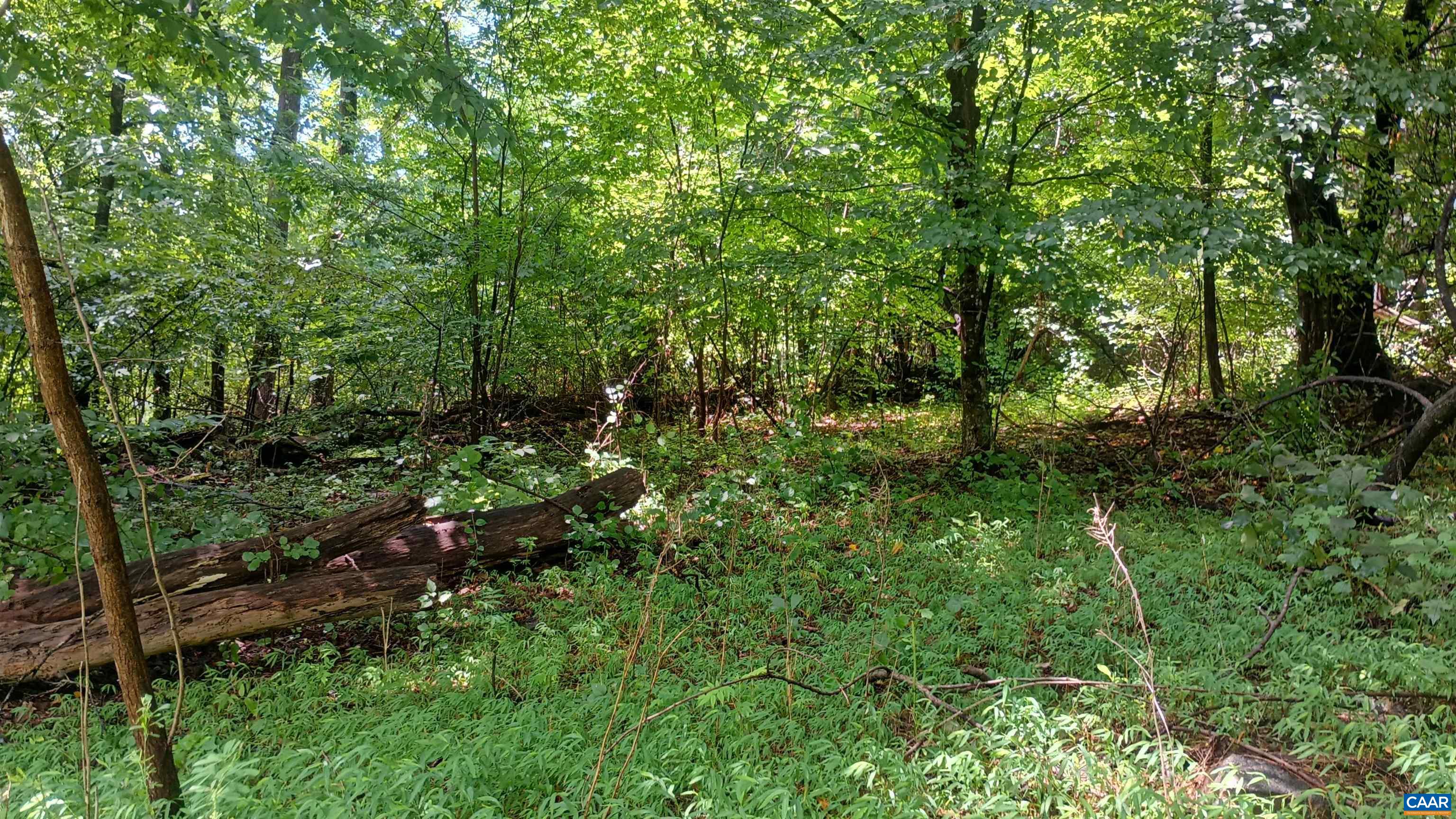 0 BATTERY HILL LN, TYRO, Virginia 22976, ,Land,0 BATTERY HILL LN,680762 MLS # 680762 0 BATTERY HILL LN, TYRO, Virginia 22976, ,Land,0 BATTERY HILL LN,680762 MLS # 680762