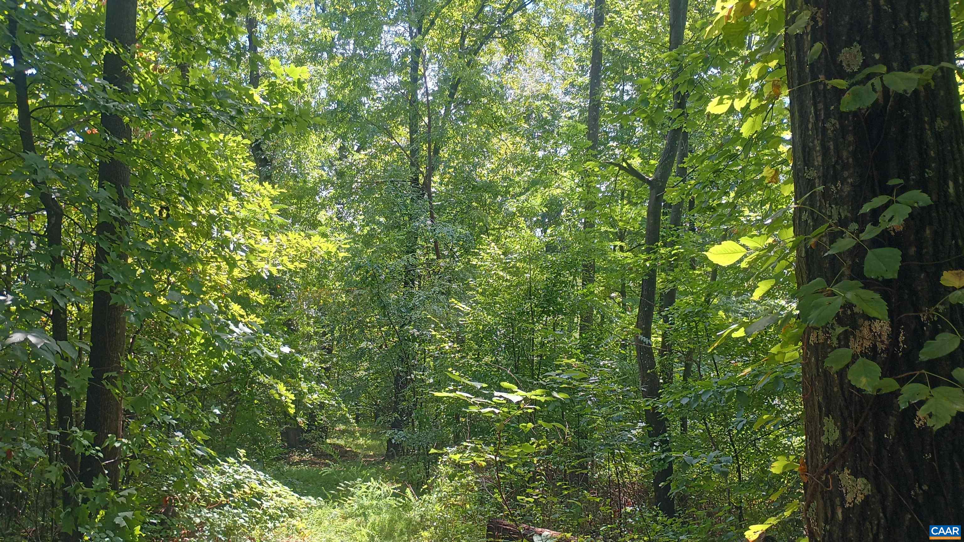 0 BATTERY HILL LN, TYRO, Virginia 22976, ,Land,0 BATTERY HILL LN,680762 MLS # 680762 0 BATTERY HILL LN, TYRO, Virginia 22976, ,Land,0 BATTERY HILL LN,680762 MLS # 680762