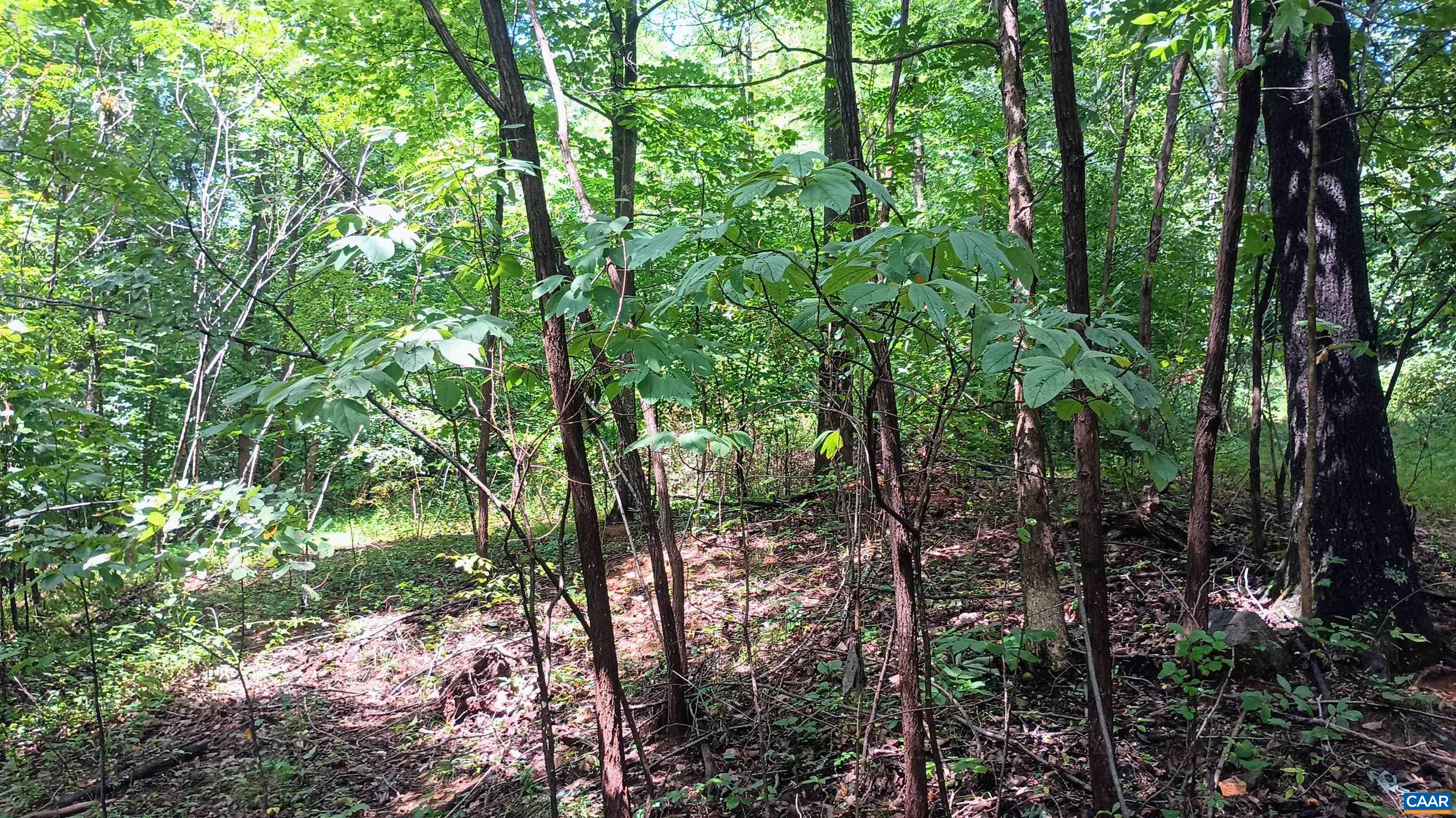 0 BATTERY HILL LN, TYRO, Virginia 22976, ,Land,0 BATTERY HILL LN,680762 MLS # 680762 0 BATTERY HILL LN, TYRO, Virginia 22976, ,Land,0 BATTERY HILL LN,680762 MLS # 680762