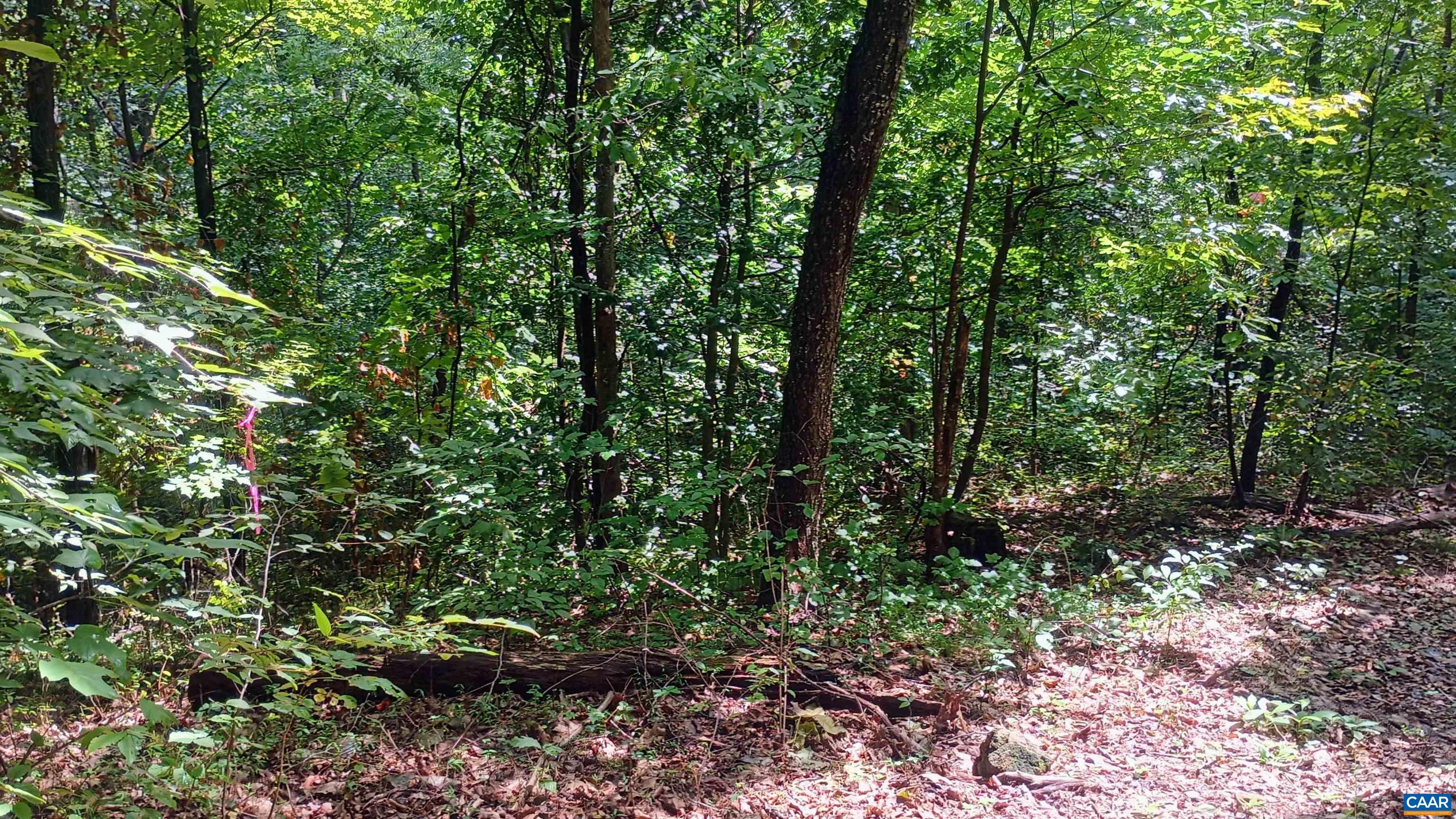 0 BATTERY HILL LN, TYRO, Virginia 22976, ,Land,0 BATTERY HILL LN,680762 MLS # 680762 0 BATTERY HILL LN, TYRO, Virginia 22976, ,Land,0 BATTERY HILL LN,680762 MLS # 680762