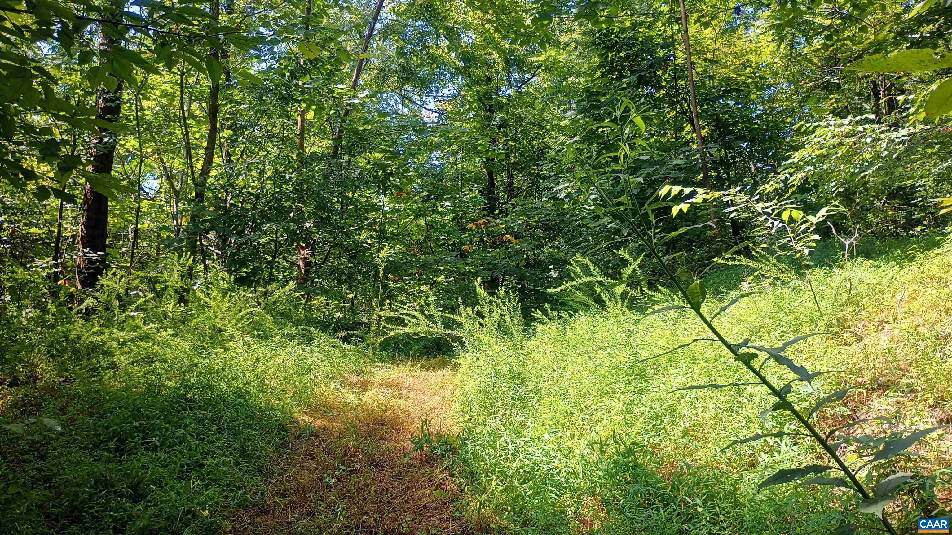 0 BATTERY HILL LN, TYRO, Virginia 22976, ,Land,0 BATTERY HILL LN,680762 MLS # 680762 0 BATTERY HILL LN, TYRO, Virginia 22976, ,Land,0 BATTERY HILL LN,680762 MLS # 680762