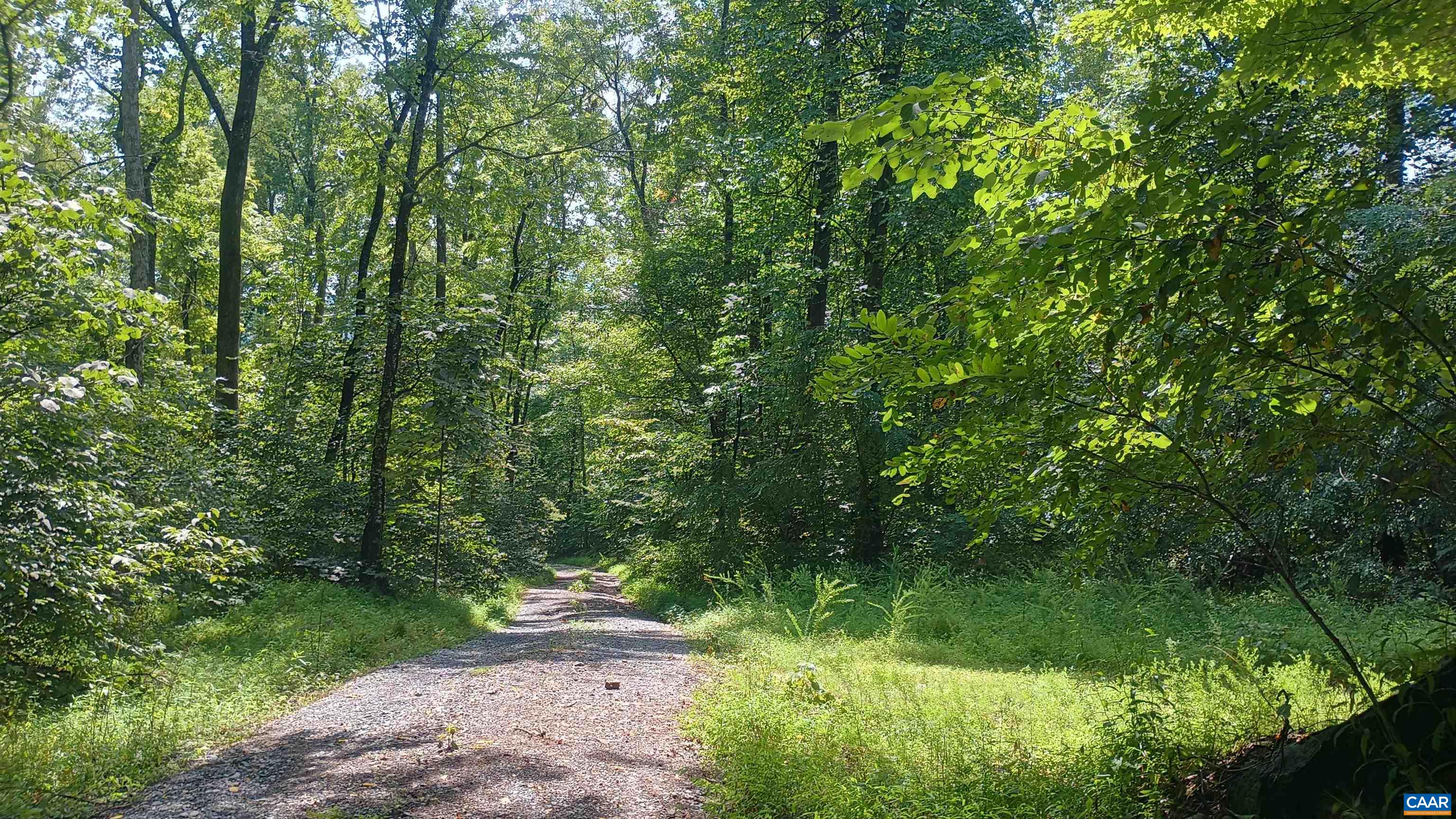 0 BATTERY HILL LN, TYRO, Virginia 22976, ,Land,0 BATTERY HILL LN,680762 MLS # 680762 0 BATTERY HILL LN, TYRO, Virginia 22976, ,Land,0 BATTERY HILL LN,680762 MLS # 680762