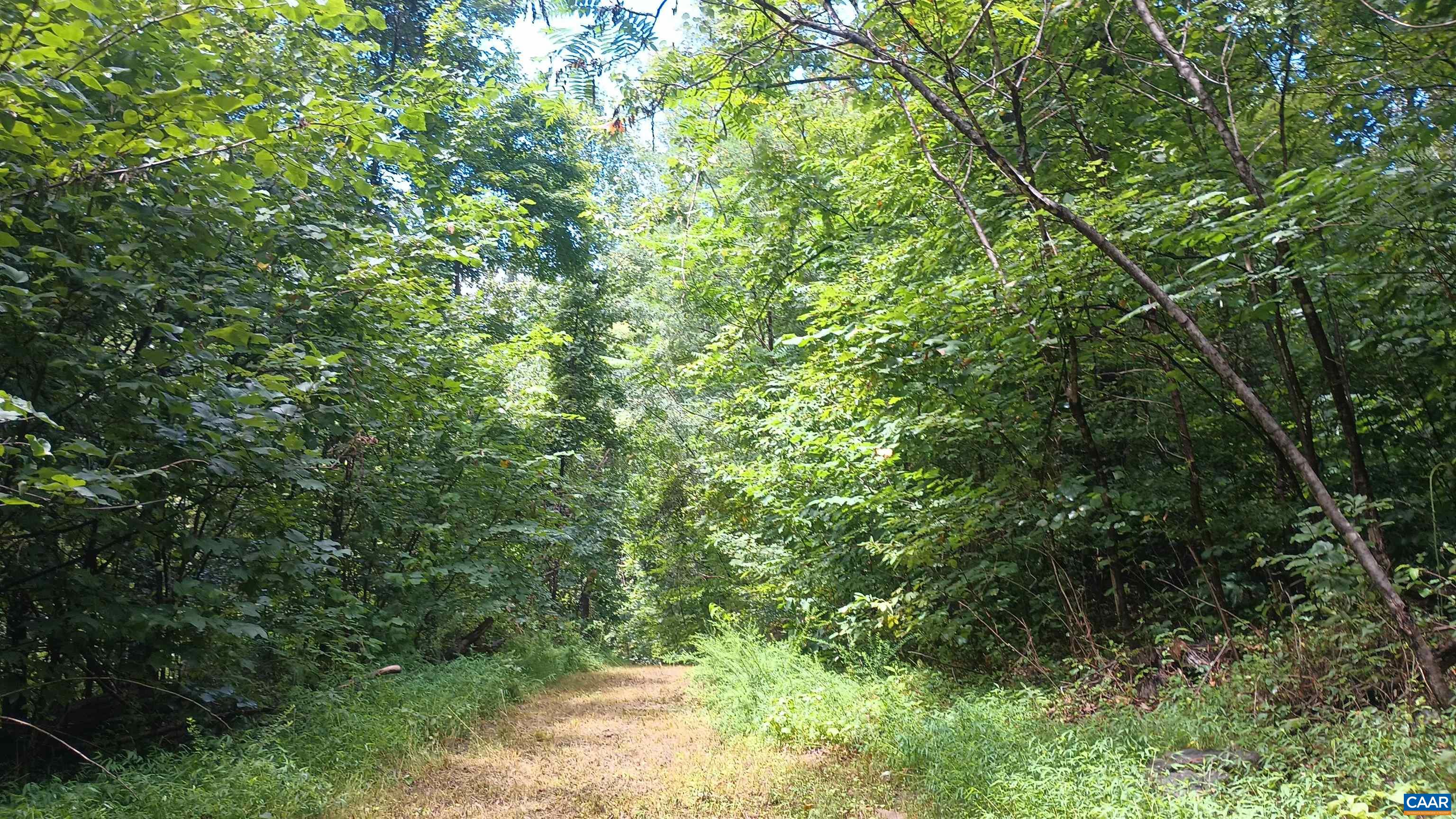0 BATTERY HILL LN, TYRO, Virginia 22976, ,Land,0 BATTERY HILL LN,680762 MLS # 680762 0 BATTERY HILL LN, TYRO, Virginia 22976, ,Land,0 BATTERY HILL LN,680762 MLS # 680762
