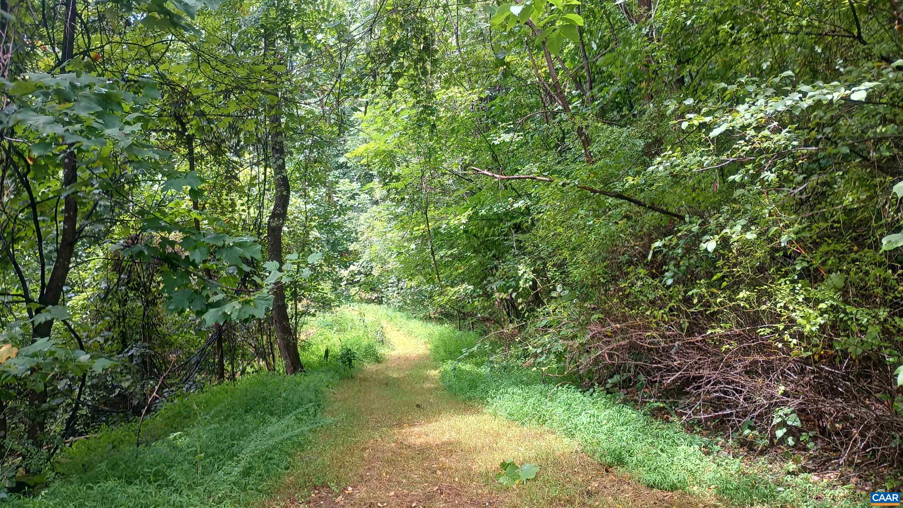 0 BATTERY HILL LN, TYRO, Virginia 22976, ,Land,0 BATTERY HILL LN,680762 MLS # 680762 0 BATTERY HILL LN, TYRO, Virginia 22976, ,Land,0 BATTERY HILL LN,680762 MLS # 680762