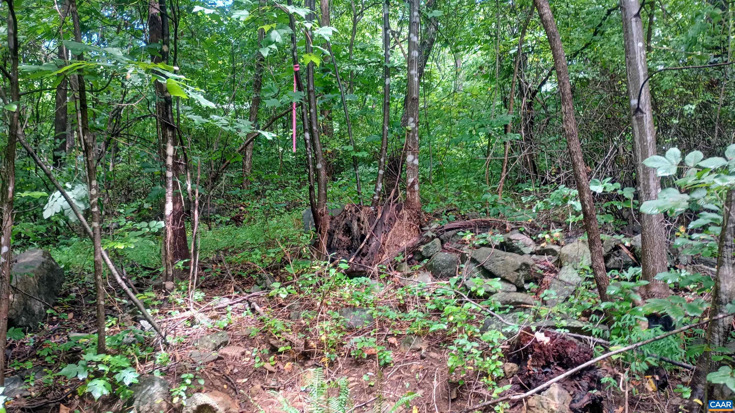 0 BATTERY HILL LN, TYRO, Virginia 22976, ,Land,0 BATTERY HILL LN,680762 MLS # 680762 0 BATTERY HILL LN, TYRO, Virginia 22976, ,Land,0 BATTERY HILL LN,680762 MLS # 680762