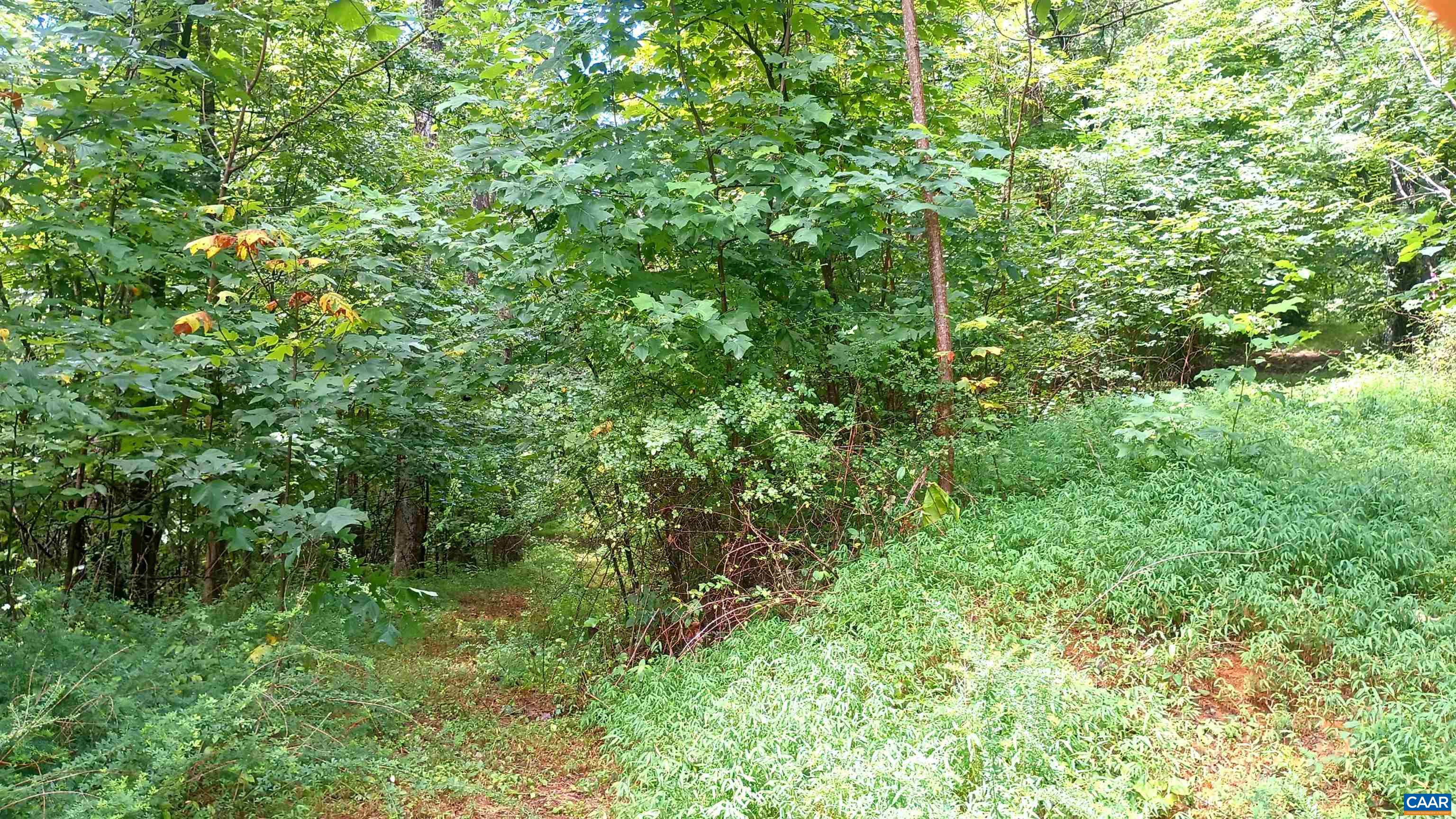 0 BATTERY HILL LN, TYRO, Virginia 22976, ,Land,0 BATTERY HILL LN,680762 MLS # 680762 0 BATTERY HILL LN, TYRO, Virginia 22976, ,Land,0 BATTERY HILL LN,680762 MLS # 680762