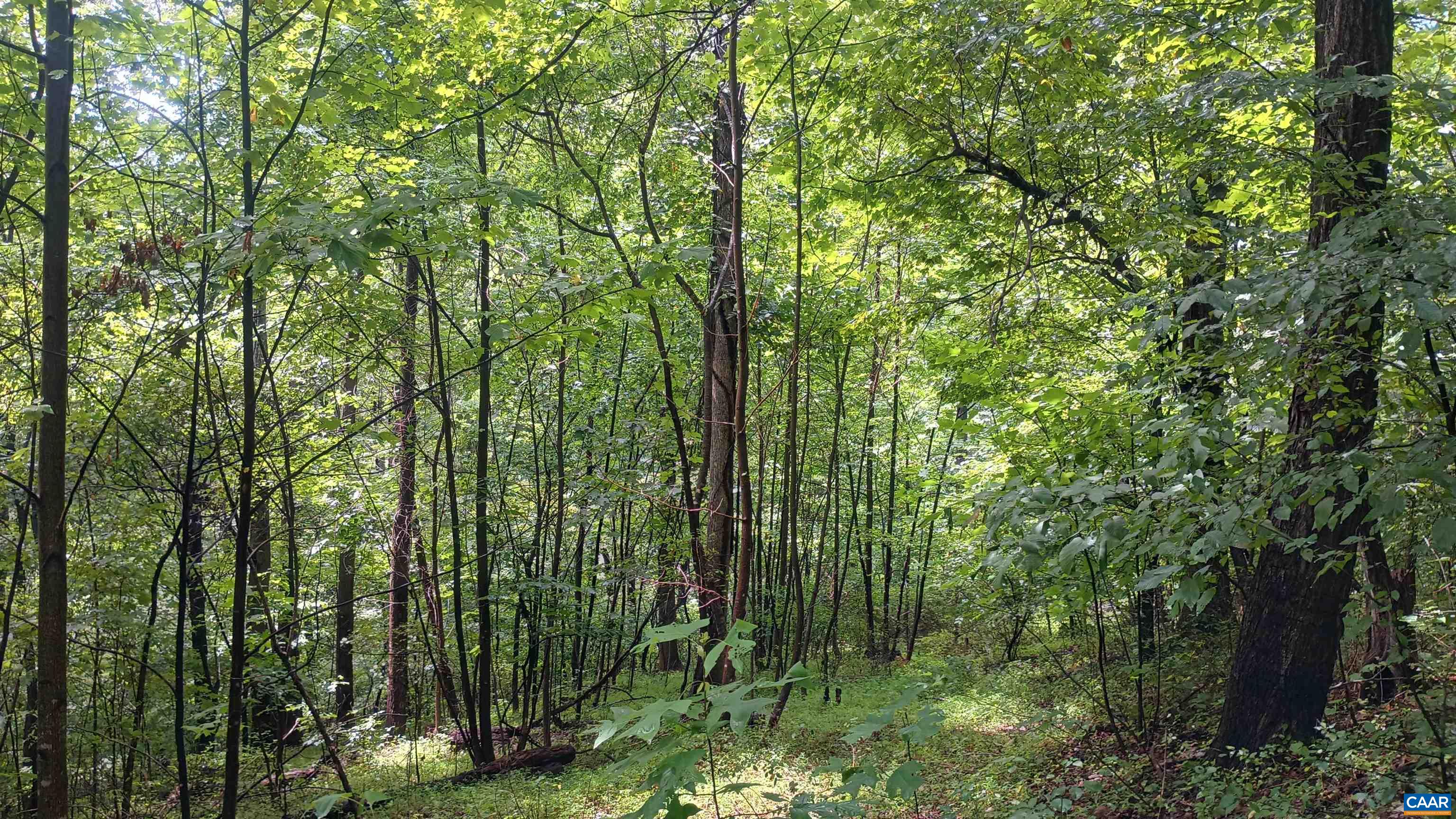 0 BATTERY HILL LN, TYRO, Virginia 22976, ,Land,0 BATTERY HILL LN,680762 MLS # 680762 0 BATTERY HILL LN, TYRO, Virginia 22976, ,Land,0 BATTERY HILL LN,680762 MLS # 680762