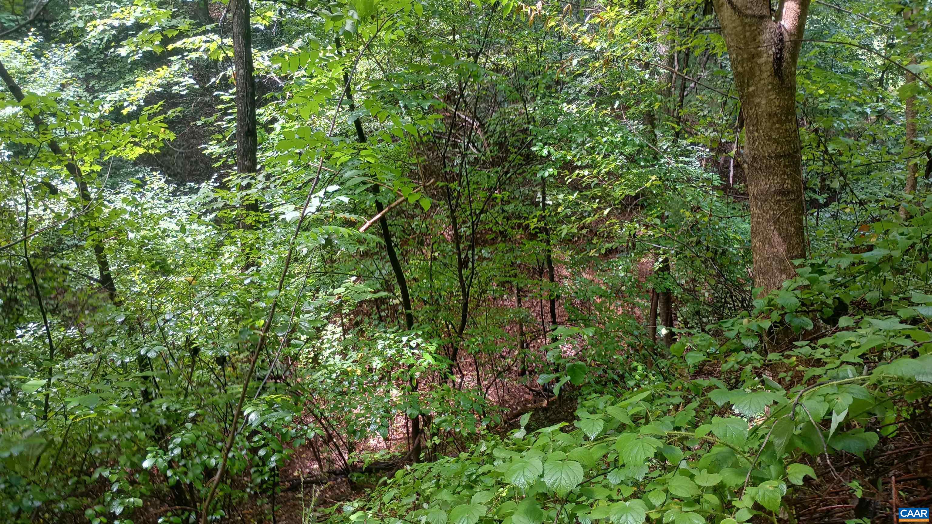 0 BATTERY HILL LN, TYRO, Virginia 22976, ,Land,0 BATTERY HILL LN,680762 MLS # 680762 0 BATTERY HILL LN, TYRO, Virginia 22976, ,Land,0 BATTERY HILL LN,680762 MLS # 680762