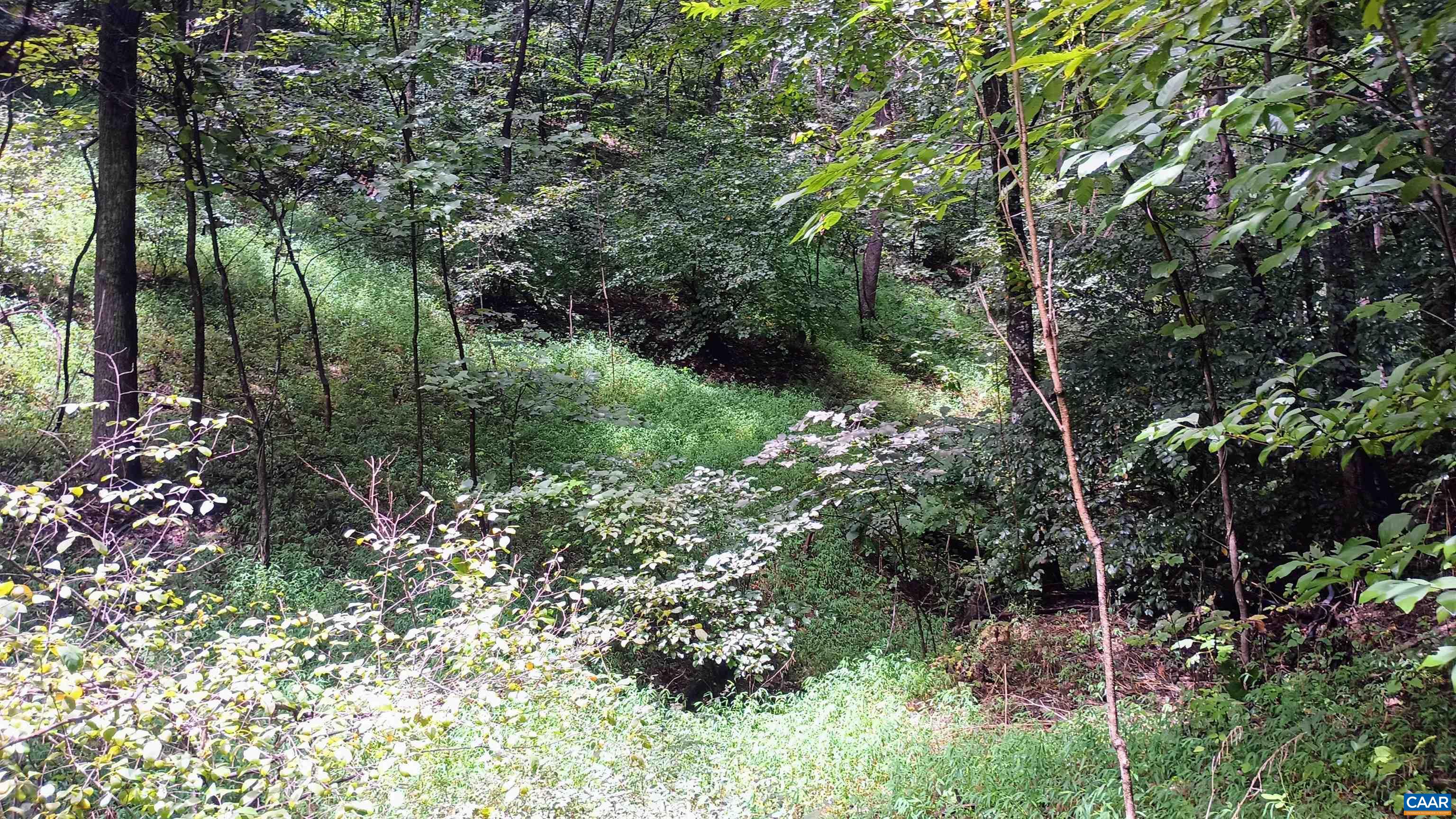 0 BATTERY HILL LN, TYRO, Virginia 22976, ,Land,0 BATTERY HILL LN,680762 MLS # 680762 0 BATTERY HILL LN, TYRO, Virginia 22976, ,Land,0 BATTERY HILL LN,680762 MLS # 680762