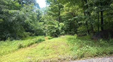 0 BATTERY HILL LN, TYRO, Virginia 22976, ,Land,0 BATTERY HILL LN,680762 MLS # 680762