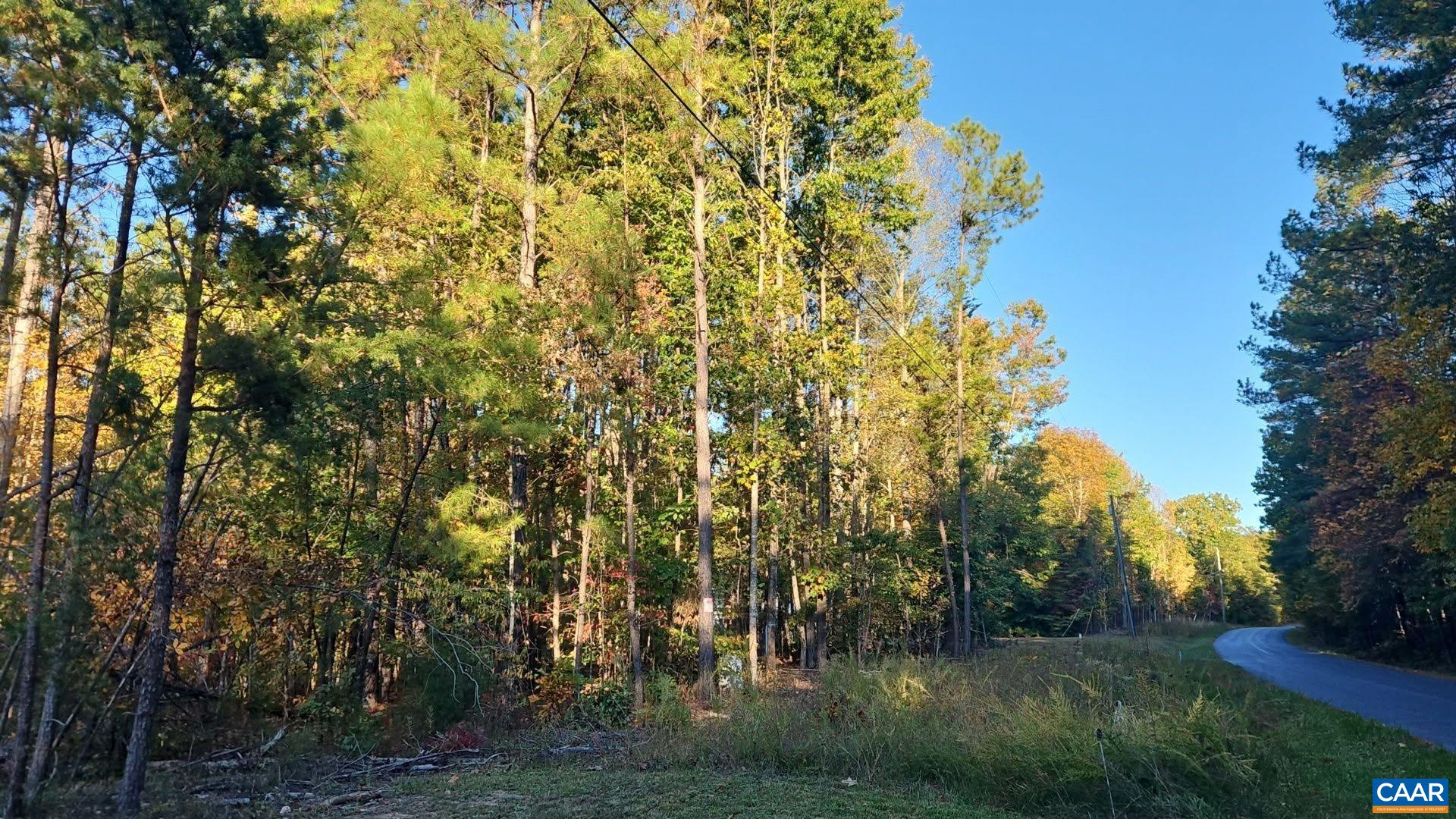 TBD PENLAN RD, NEW CANTON, Virginia 23123, ,Land,TBD PENLAN RD,680765 MLS # 680765