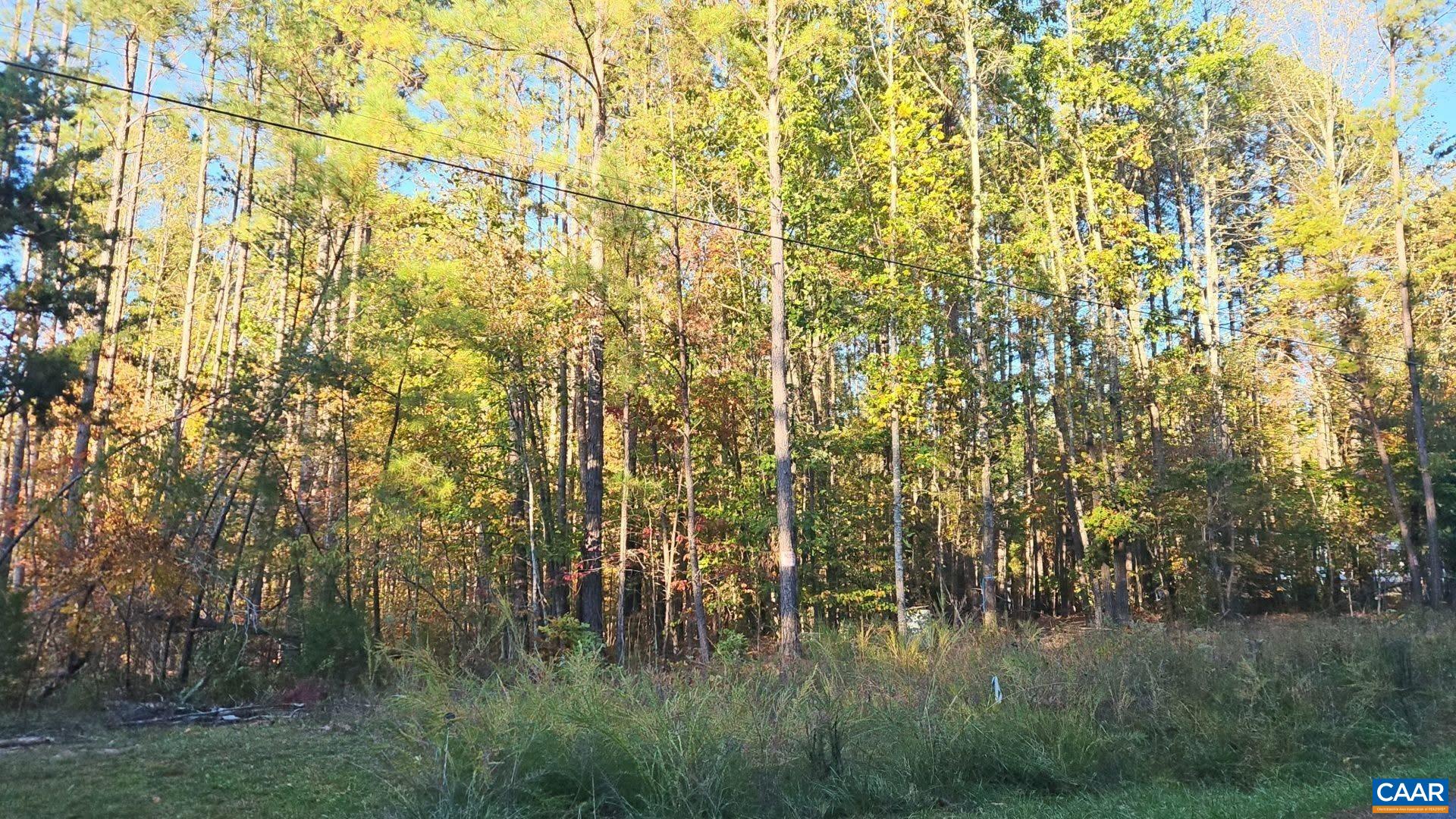 TBD PENLAN RD, NEW CANTON, Virginia 23123, ,Land,TBD PENLAN RD,680765 MLS # 680765 TBD PENLAN RD, NEW CANTON, Virginia 23123, ,Land,TBD PENLAN RD,680765 MLS # 680765