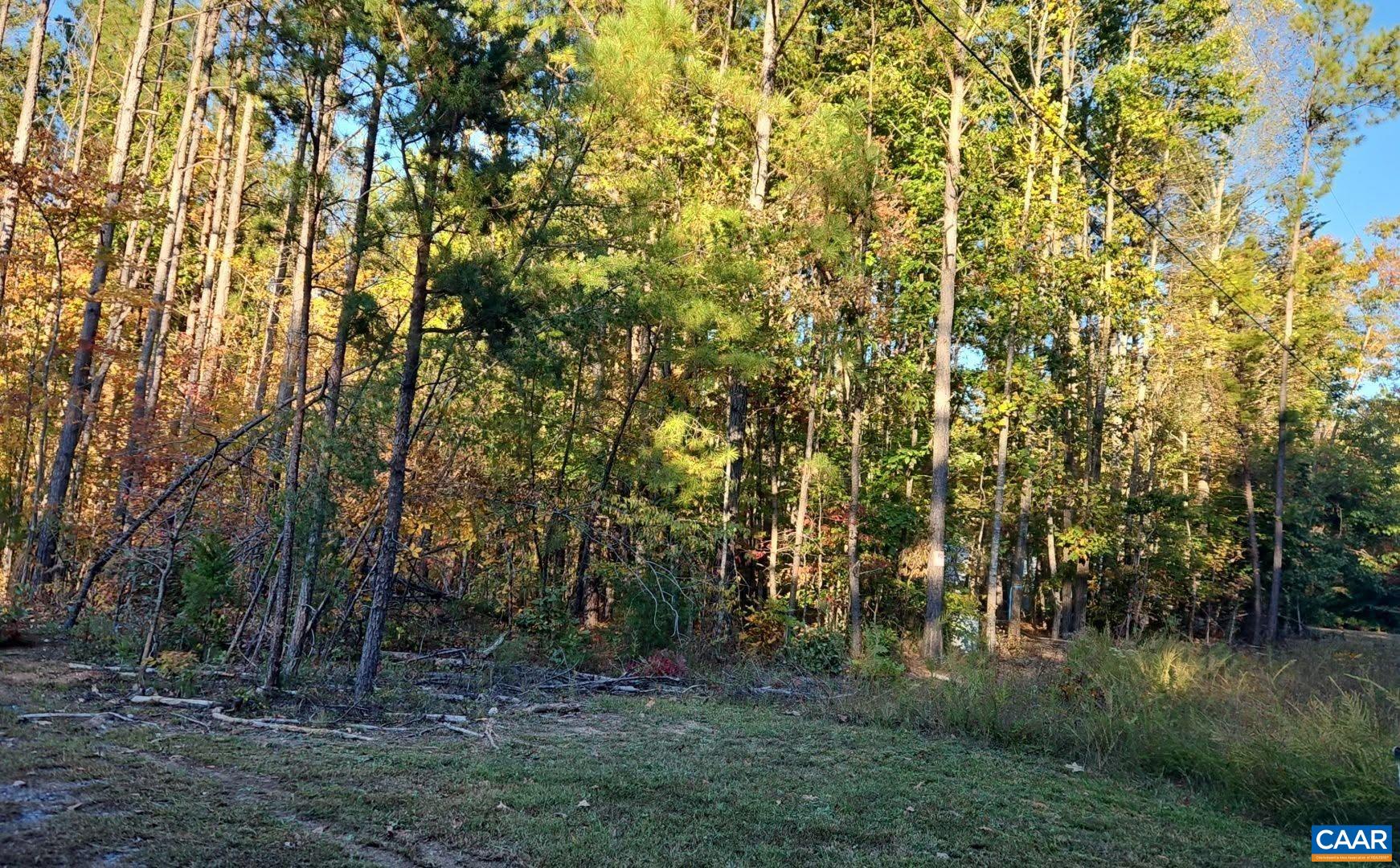 TBD PENLAN RD, NEW CANTON, Virginia 23123, ,Land,TBD PENLAN RD,680765 MLS # 680765 TBD PENLAN RD, NEW CANTON, Virginia 23123, ,Land,TBD PENLAN RD,680765 MLS # 680765