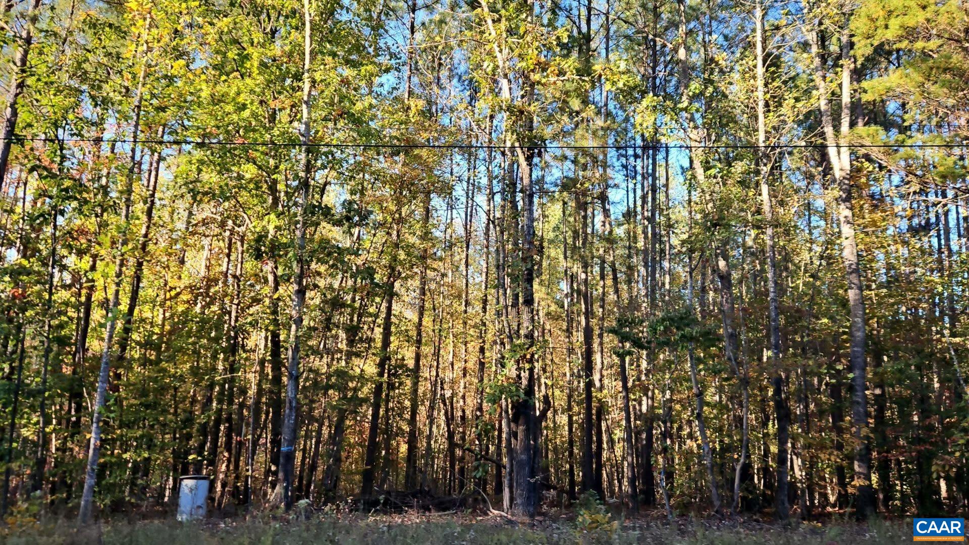 TBD PENLAN RD, NEW CANTON, Virginia 23123, ,Land,TBD PENLAN RD,680765 MLS # 680765 TBD PENLAN RD, NEW CANTON, Virginia 23123, ,Land,TBD PENLAN RD,680765 MLS # 680765