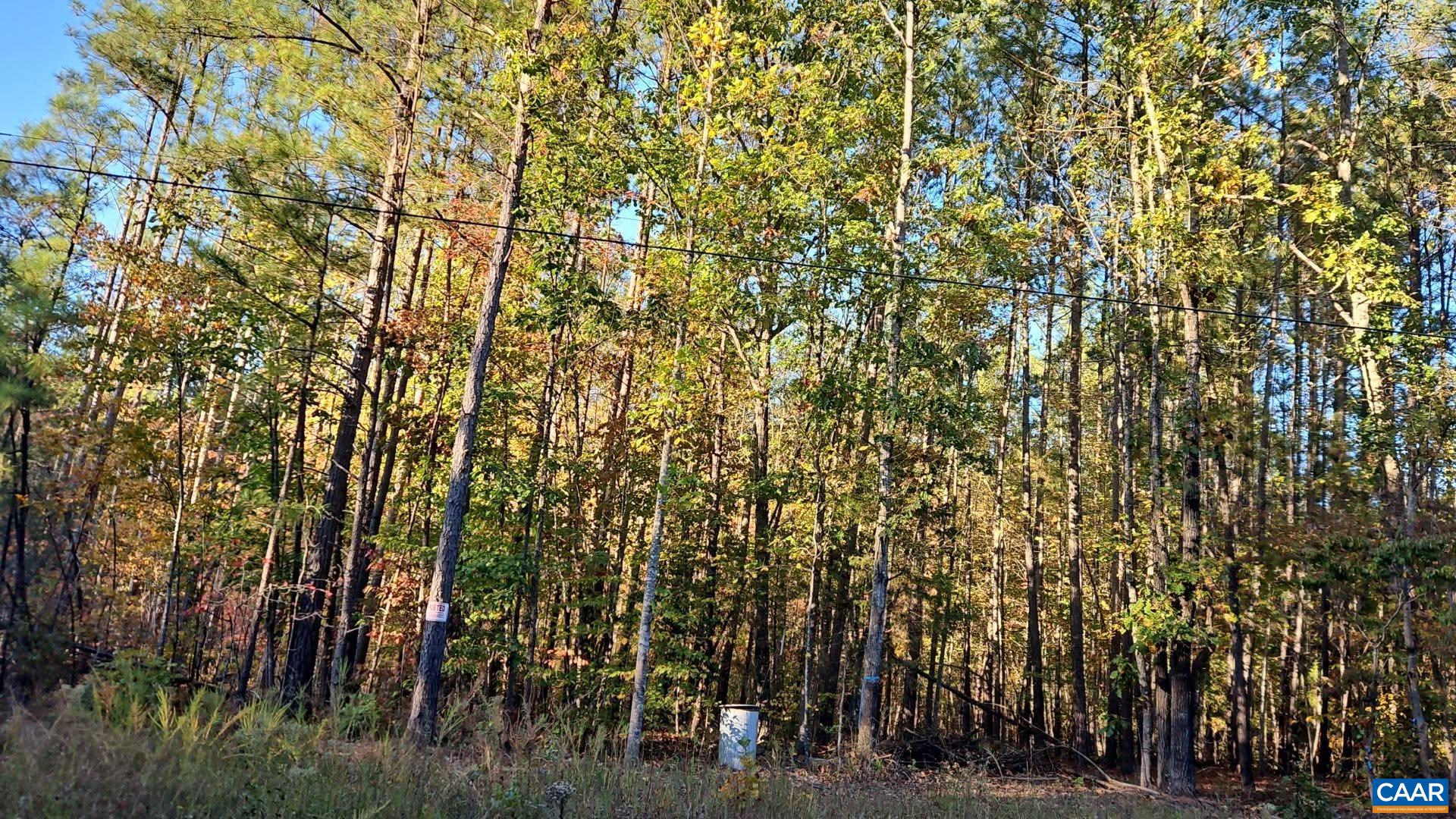TBD PENLAN RD, NEW CANTON, Virginia 23123, ,Land,TBD PENLAN RD,680765 MLS # 680765 TBD PENLAN RD, NEW CANTON, Virginia 23123, ,Land,TBD PENLAN RD,680765 MLS # 680765