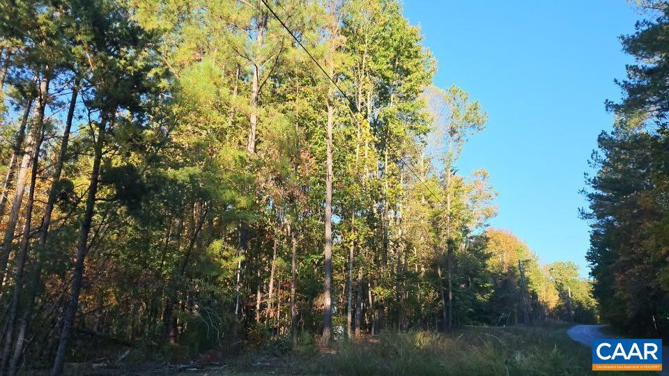 TBD PENLAN RD, NEW CANTON, Virginia 23123, ,Land,TBD PENLAN RD,680765 MLS # 680765 TBD PENLAN RD, NEW CANTON, Virginia 23123, ,Land,TBD PENLAN RD,680765 MLS # 680765