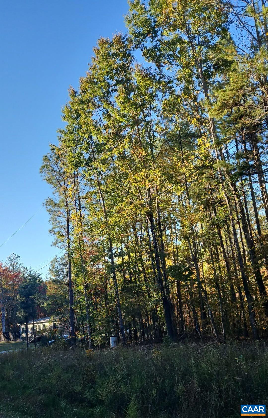 TBD PENLAN RD, NEW CANTON, Virginia 23123, ,Land,TBD PENLAN RD,680765 MLS # 680765 TBD PENLAN RD, NEW CANTON, Virginia 23123, ,Land,TBD PENLAN RD,680765 MLS # 680765