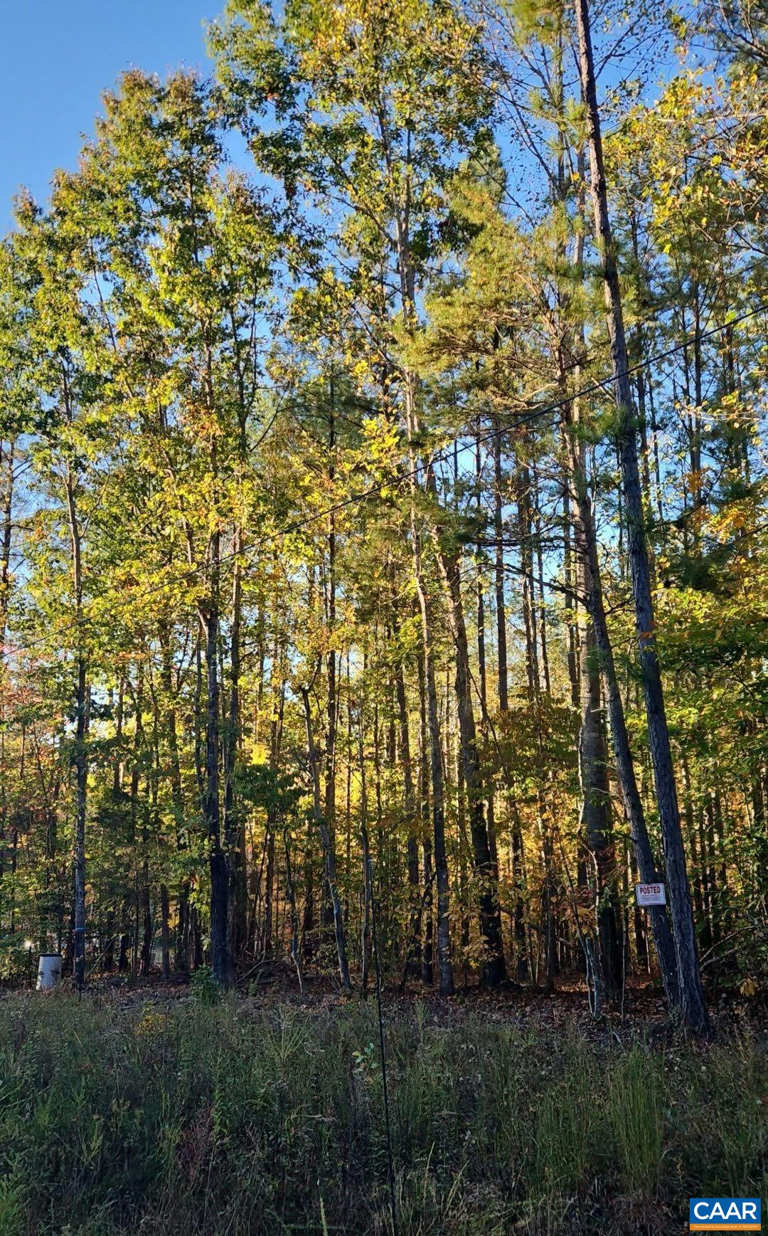 TBD PENLAN RD, NEW CANTON, Virginia 23123, ,Land,TBD PENLAN RD,680765 MLS # 680765 TBD PENLAN RD, NEW CANTON, Virginia 23123, ,Land,TBD PENLAN RD,680765 MLS # 680765