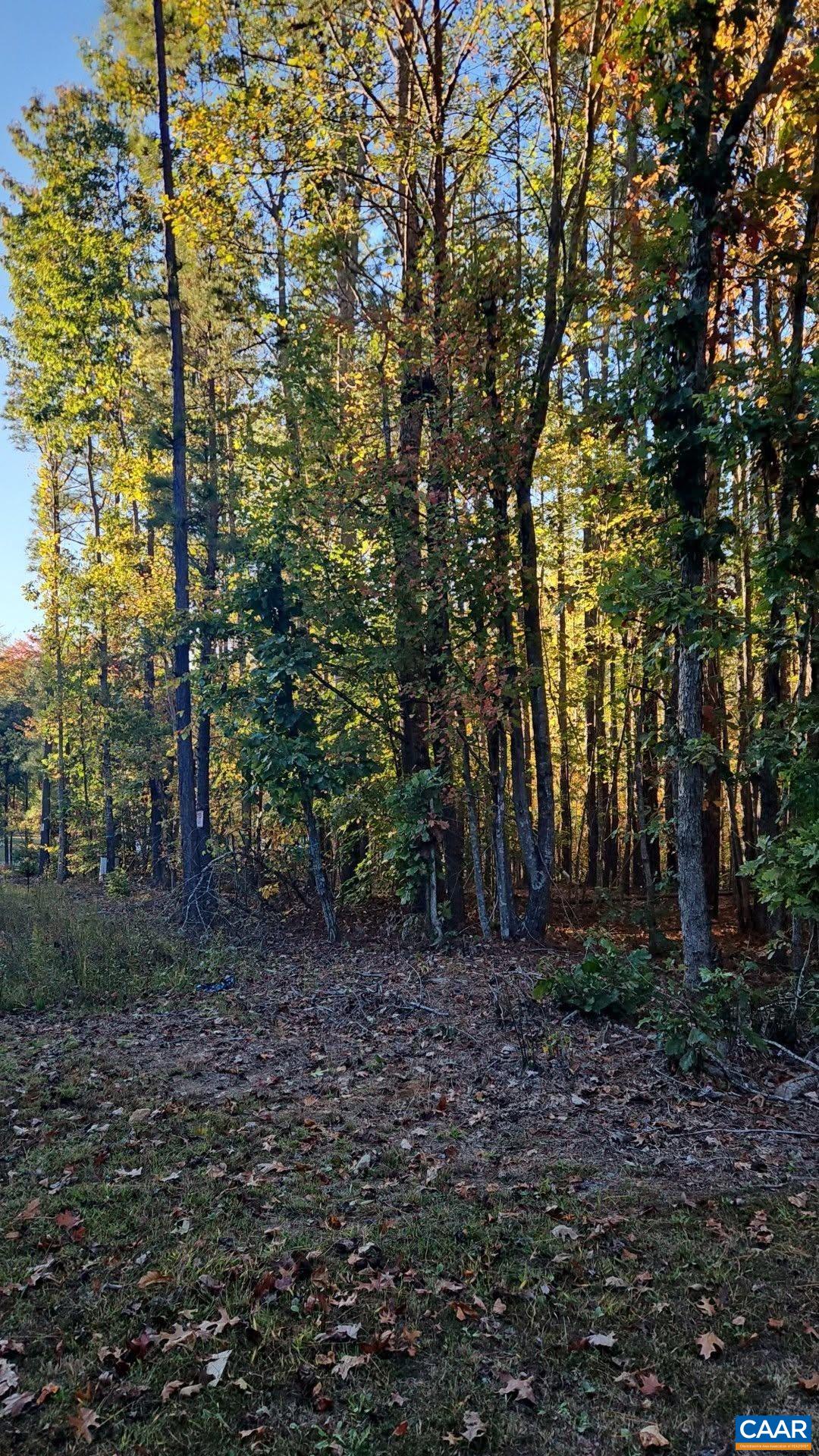 TBD PENLAN RD, NEW CANTON, Virginia 23123, ,Land,TBD PENLAN RD,680765 MLS # 680765 TBD PENLAN RD, NEW CANTON, Virginia 23123, ,Land,TBD PENLAN RD,680765 MLS # 680765