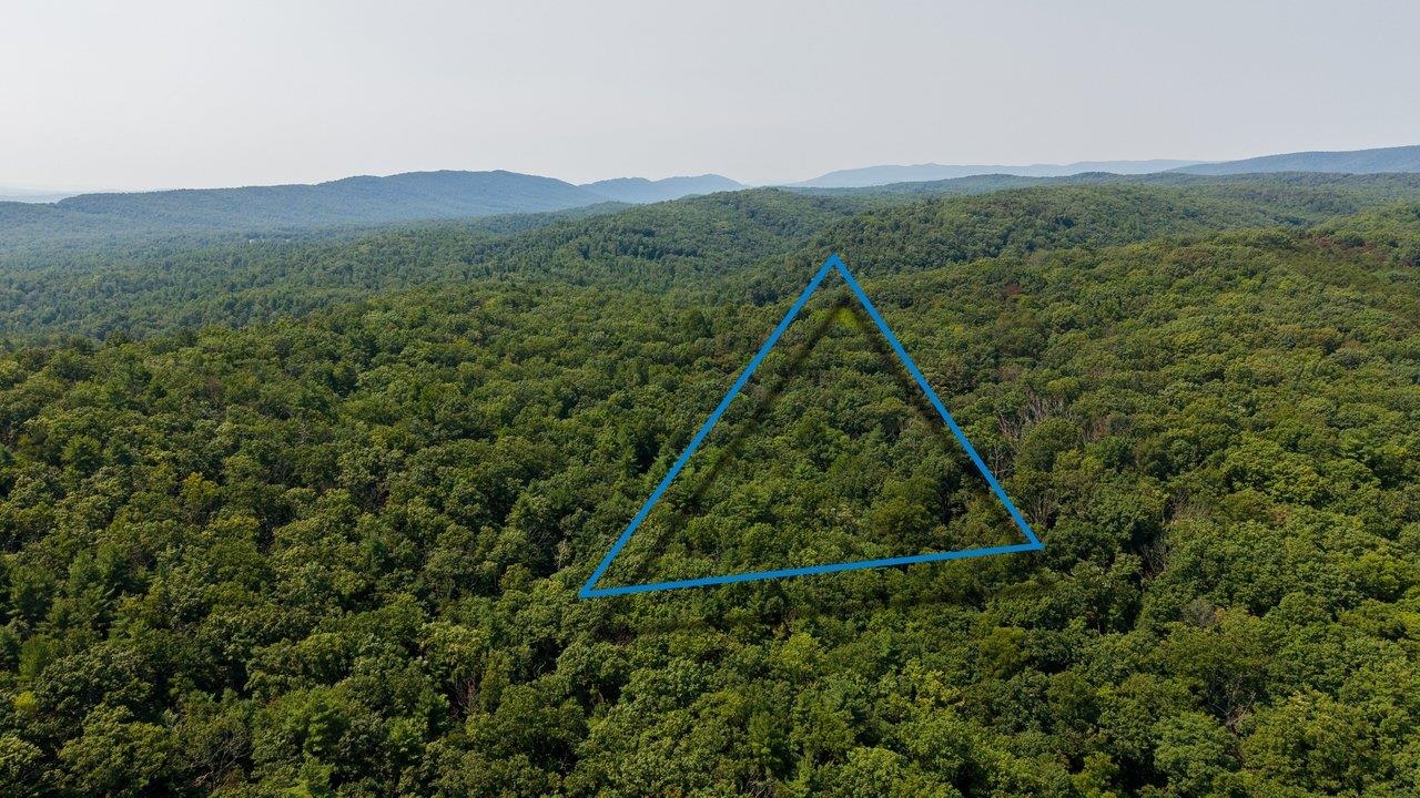 0 N MAPLE RD, MOUNT JACKSON, Virginia 22842, ,Land,0 N MAPLE RD,680769 MLS # 680769 0 N MAPLE RD, MOUNT JACKSON, Virginia 22842, ,Land,0 N MAPLE RD,680769 MLS # 680769