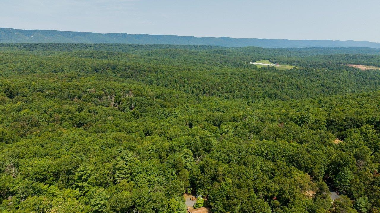 0 N MAPLE RD, MOUNT JACKSON, Virginia 22842, ,Land,0 N MAPLE RD,680769 MLS # 680769 0 N MAPLE RD, MOUNT JACKSON, Virginia 22842, ,Land,0 N MAPLE RD,680769 MLS # 680769