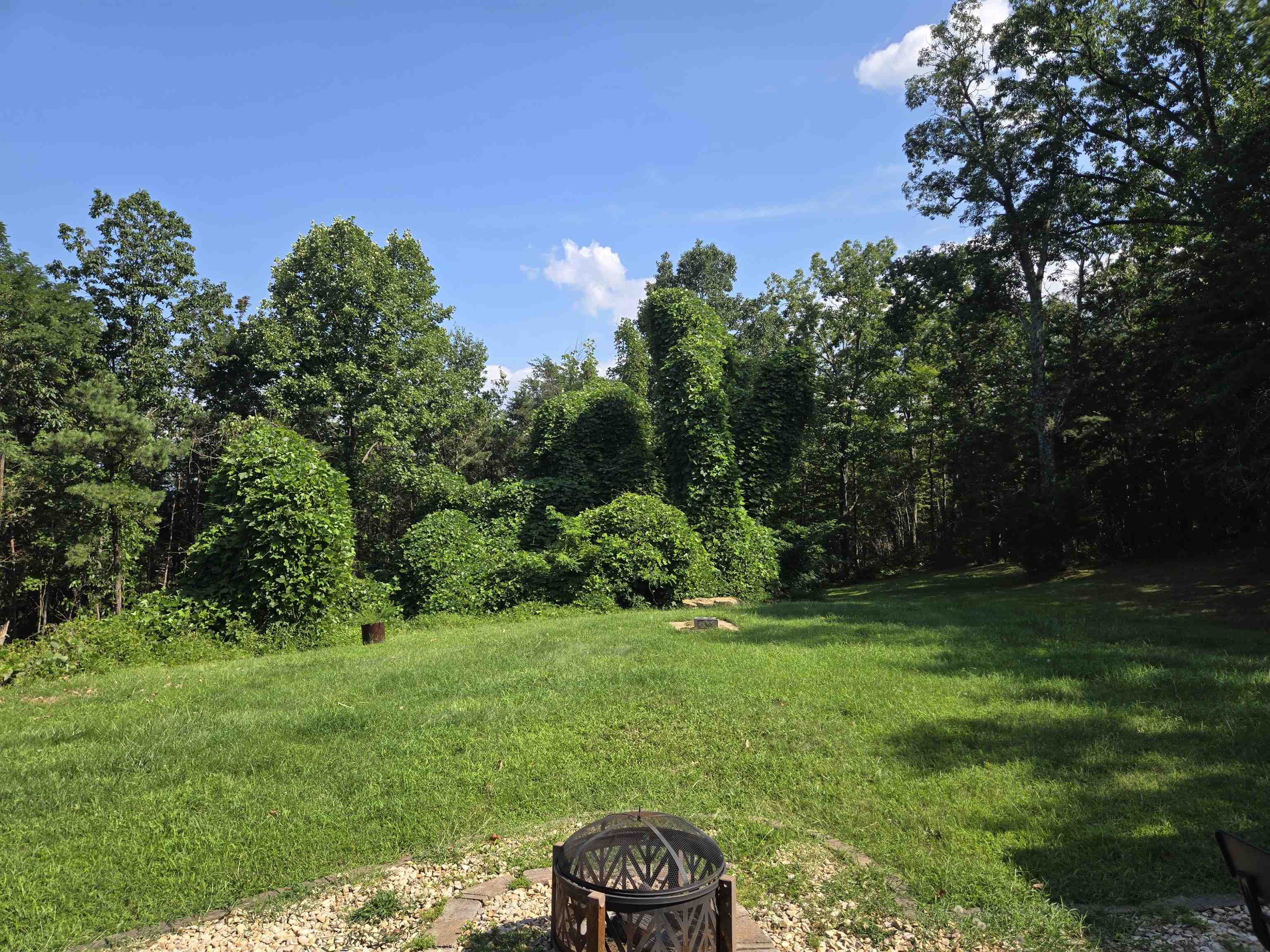 8879 US HWY 211 W, LURAY, Virginia 22835, 2 Bedrooms Bedrooms, ,1 BathroomBathrooms,Residential,8879 US HWY 211 W,680776 MLS # 680776 8879 US HWY 211 W, LURAY, Virginia 22835, 2 Bedrooms Bedrooms, ,1 BathroomBathrooms,Residential,8879 US HWY 211 W,680776 MLS # 680776