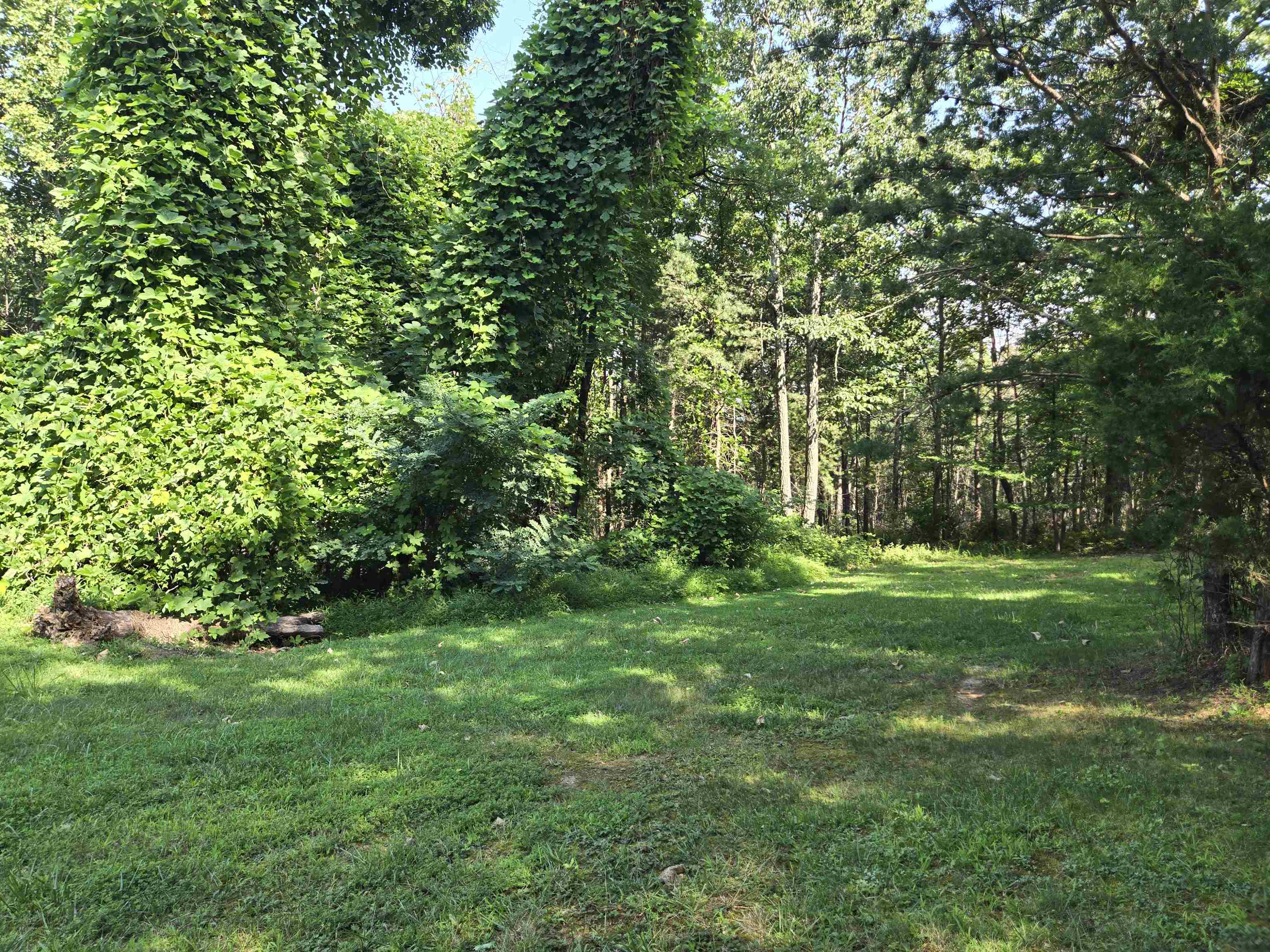 8879 US HWY 211 W, LURAY, Virginia 22835, 2 Bedrooms Bedrooms, ,1 BathroomBathrooms,Residential,8879 US HWY 211 W,680776 MLS # 680776 8879 US HWY 211 W, LURAY, Virginia 22835, 2 Bedrooms Bedrooms, ,1 BathroomBathrooms,Residential,8879 US HWY 211 W,680776 MLS # 680776