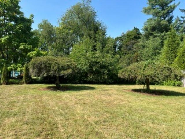 102 TAYLOR ST, STAUNTON, Virginia 24401, 3 Bedrooms Bedrooms, ,1 BathroomBathrooms,Residential,102 TAYLOR ST,680781 MLS # 680781