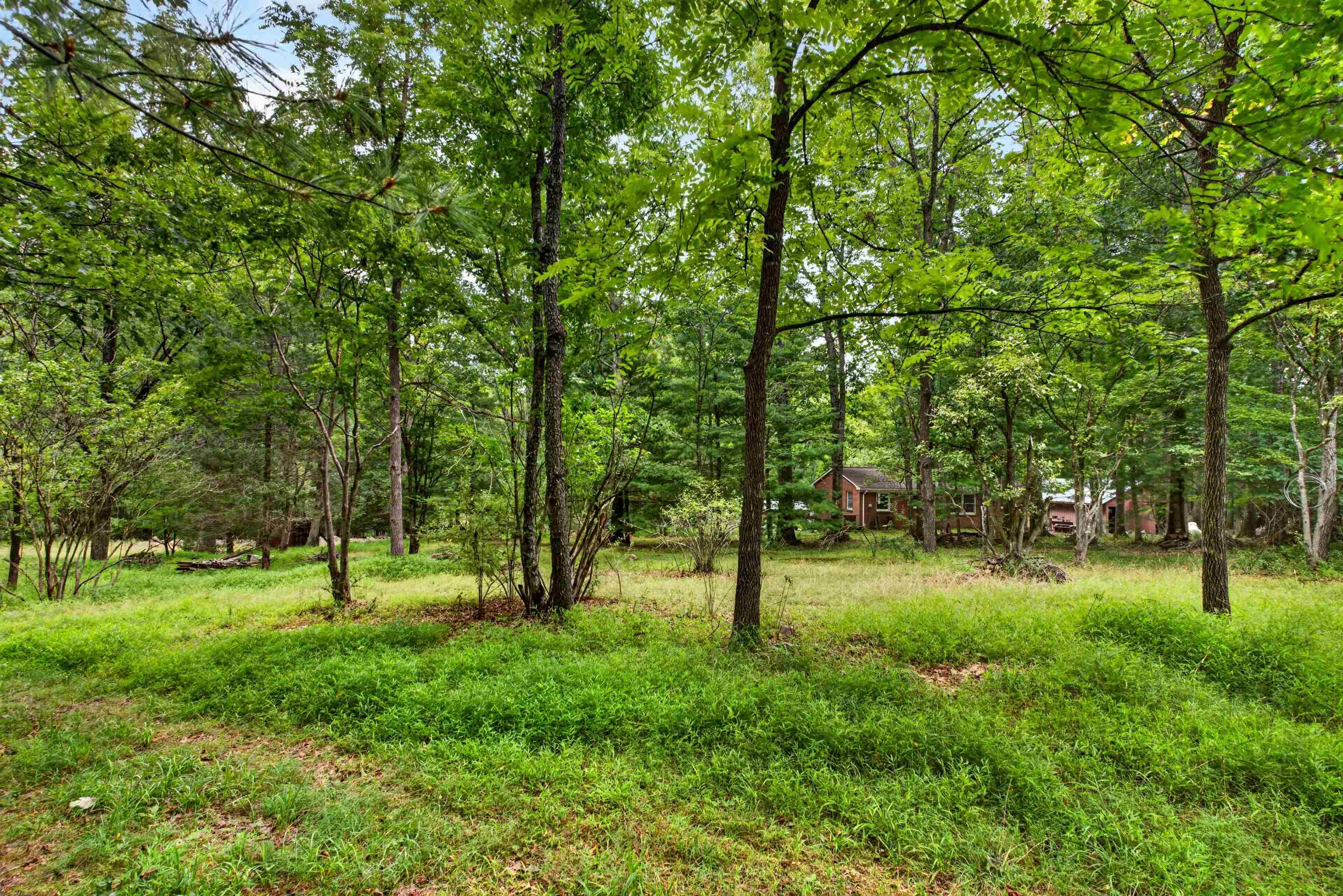 28 CHRISTIAN LN, SWOOPE, Virginia 24479, ,Land,28 CHRISTIAN LN,680812 MLS # 680812 28 CHRISTIAN LN, SWOOPE, Virginia 24479, ,Land,28 CHRISTIAN LN,680812 MLS # 680812