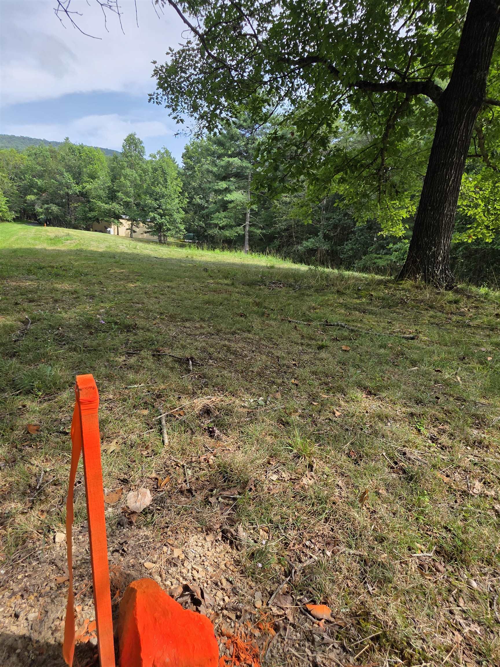 574 MOUNTAIN SLOPE LN, FORT VALLEY, Virginia 22652, ,Land,574 MOUNTAIN SLOPE LN,680814 MLS # 680814 574 MOUNTAIN SLOPE LN, FORT VALLEY, Virginia 22652, ,Land,574 MOUNTAIN SLOPE LN,680814 MLS # 680814