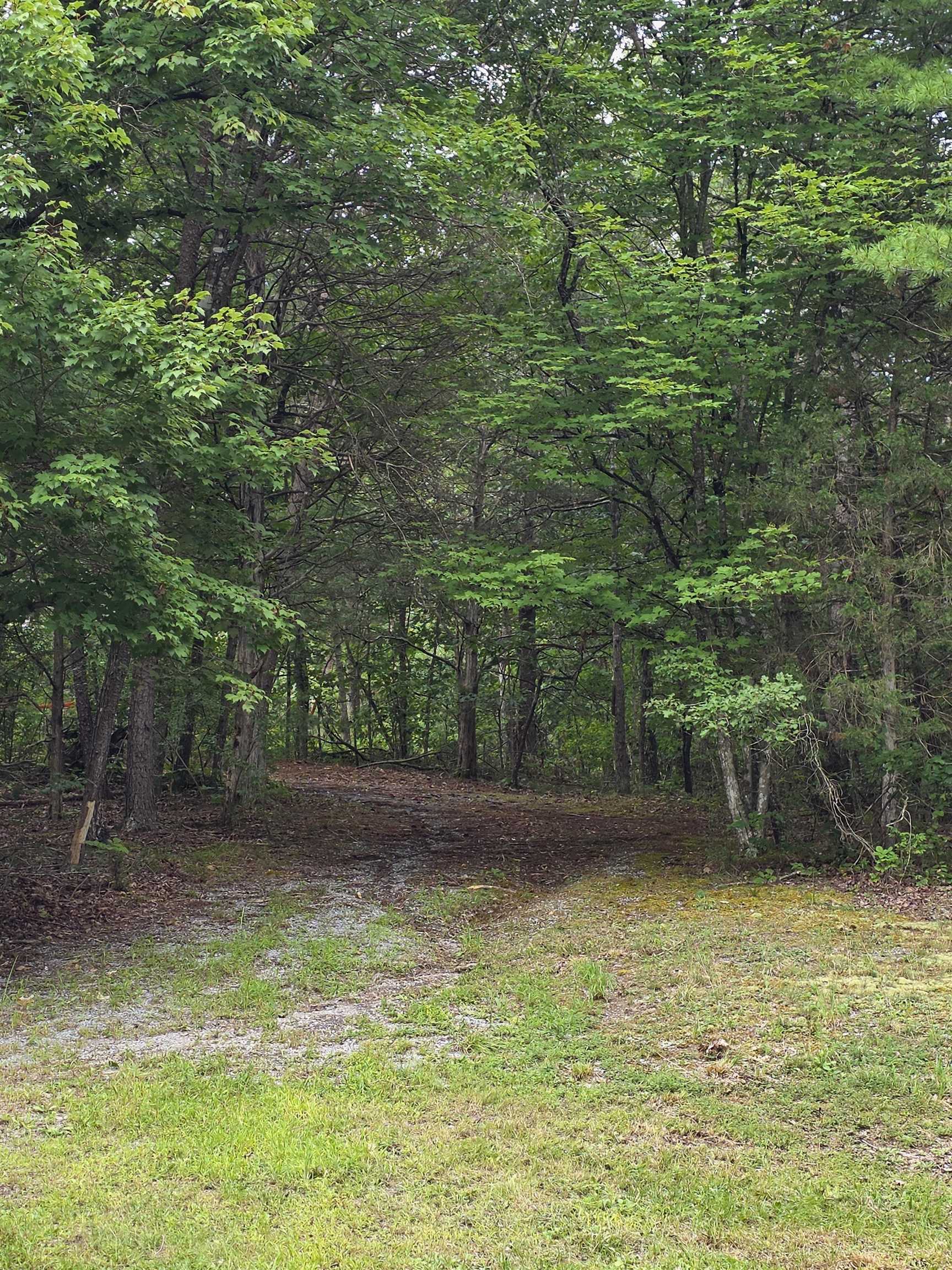 574 MOUNTAIN SLOPE LN, FORT VALLEY, Virginia 22652, ,Land,574 MOUNTAIN SLOPE LN,680814 MLS # 680814 574 MOUNTAIN SLOPE LN, FORT VALLEY, Virginia 22652, ,Land,574 MOUNTAIN SLOPE LN,680814 MLS # 680814
