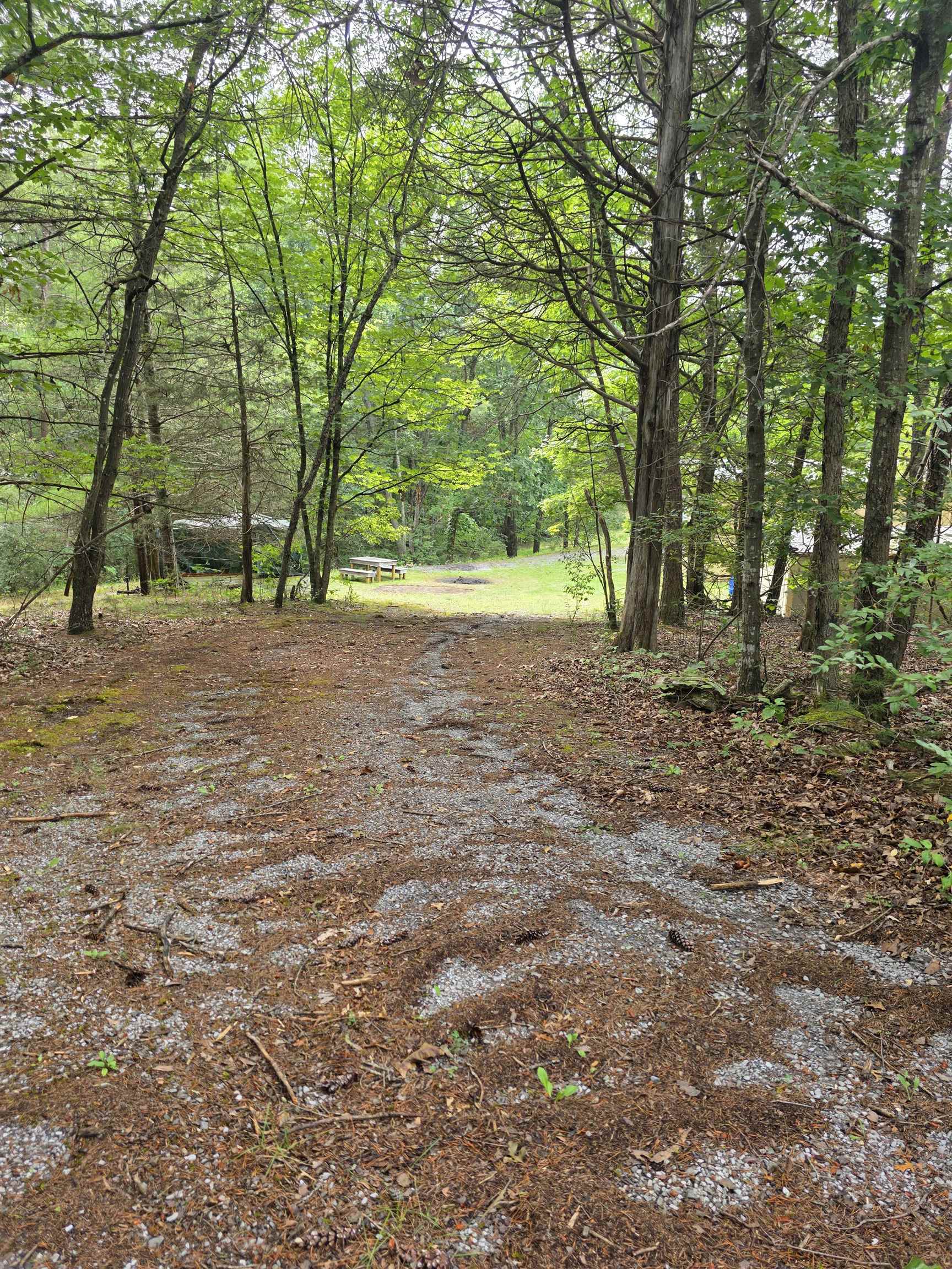574 MOUNTAIN SLOPE LN, FORT VALLEY, Virginia 22652, ,Land,574 MOUNTAIN SLOPE LN,680814 MLS # 680814 574 MOUNTAIN SLOPE LN, FORT VALLEY, Virginia 22652, ,Land,574 MOUNTAIN SLOPE LN,680814 MLS # 680814