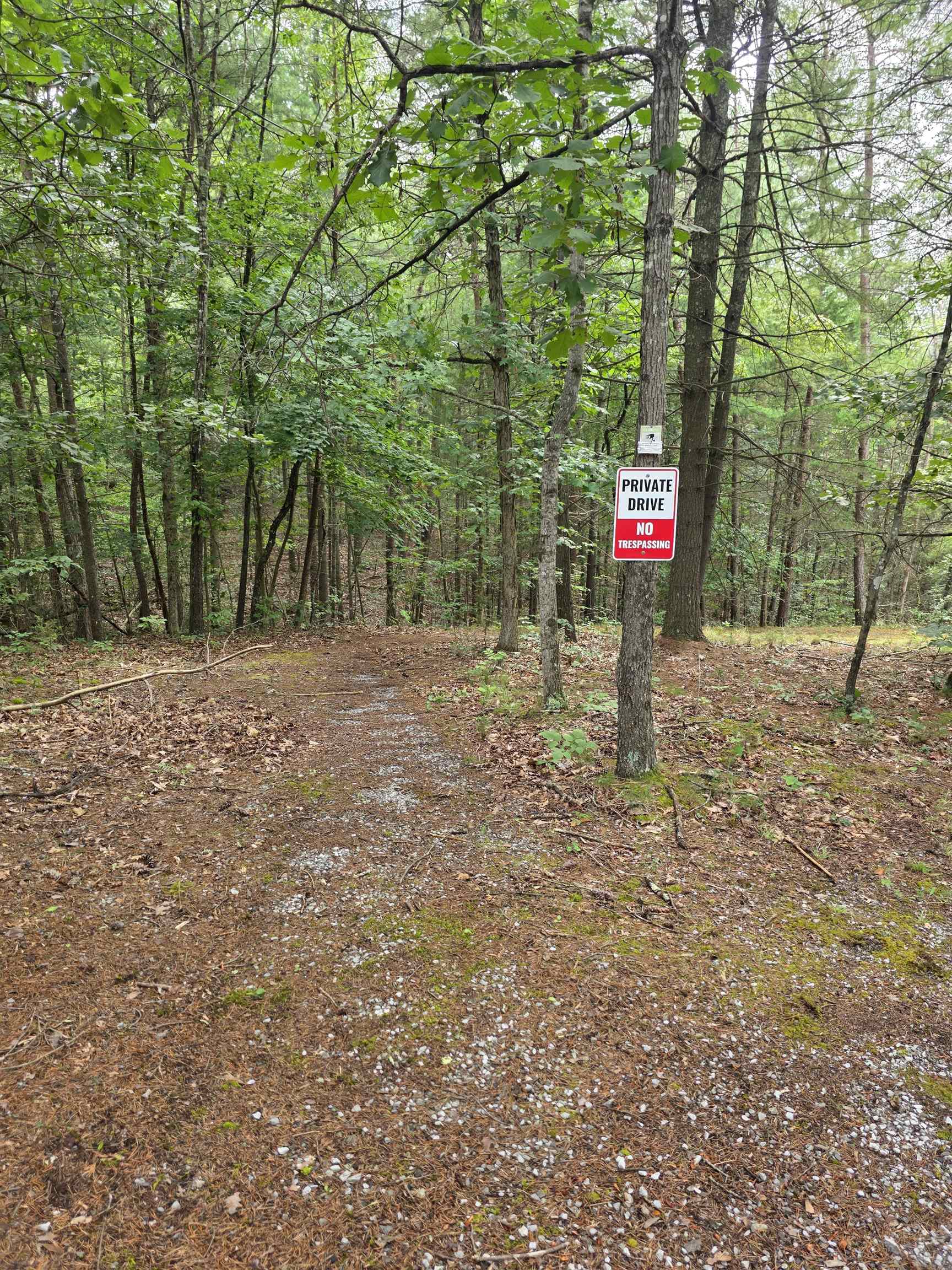 574 MOUNTAIN SLOPE LN, FORT VALLEY, Virginia 22652, ,Land,574 MOUNTAIN SLOPE LN,680814 MLS # 680814 574 MOUNTAIN SLOPE LN, FORT VALLEY, Virginia 22652, ,Land,574 MOUNTAIN SLOPE LN,680814 MLS # 680814