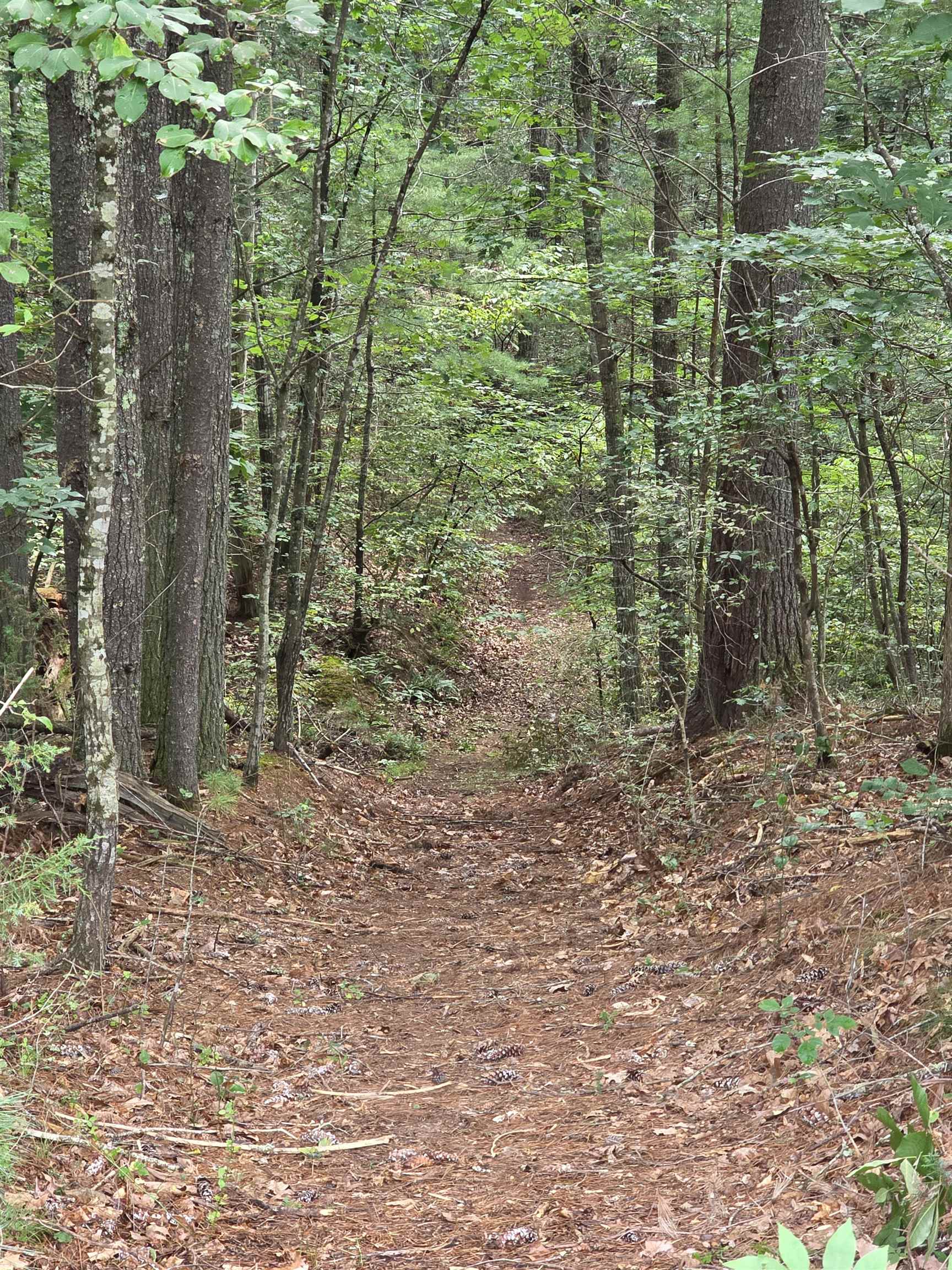 This trail leads to the peaceful stream and bridge to cross to the other part of the property This trail leads to the peaceful stream and bridge to cross to the other part of the property