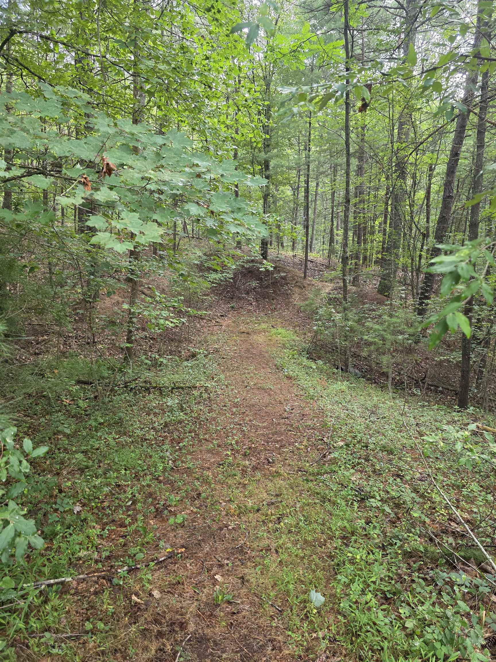 574 MOUNTAIN SLOPE LN, FORT VALLEY, Virginia 22652, ,Land,574 MOUNTAIN SLOPE LN,680814 MLS # 680814 574 MOUNTAIN SLOPE LN, FORT VALLEY, Virginia 22652, ,Land,574 MOUNTAIN SLOPE LN,680814 MLS # 680814