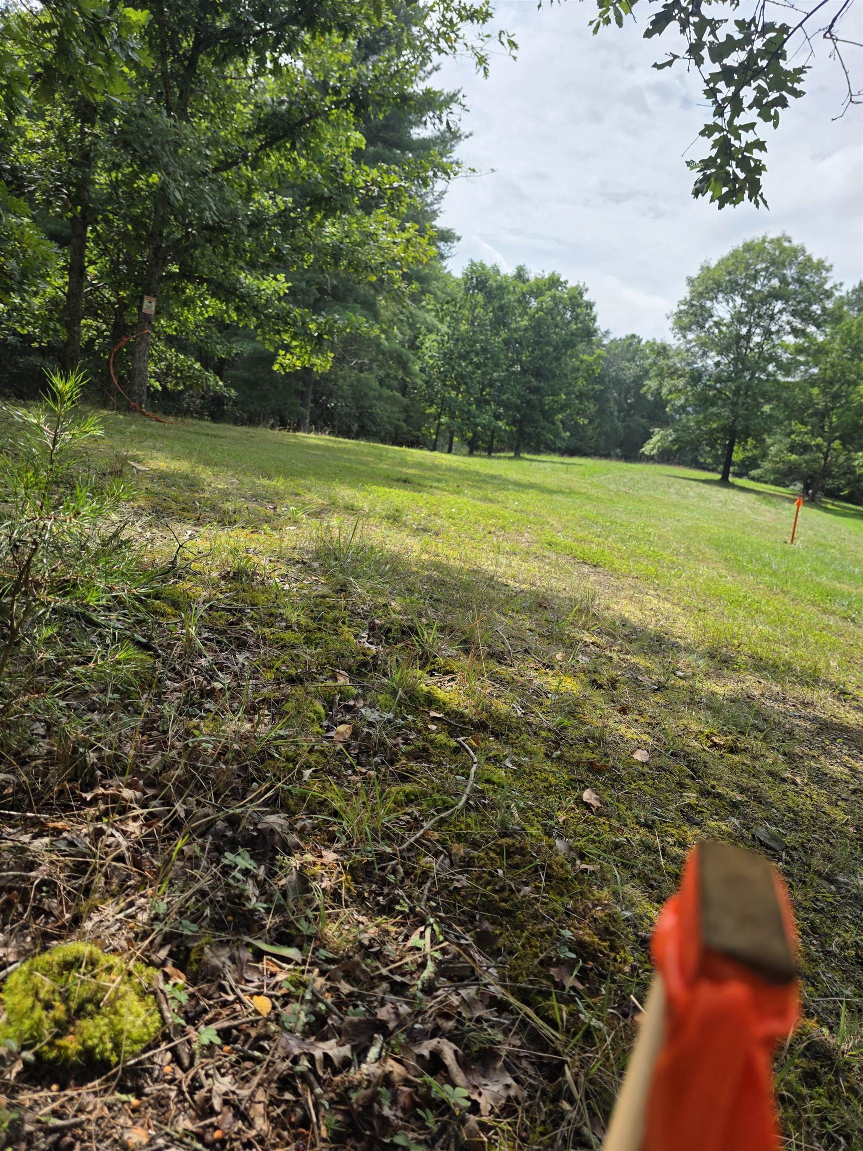 574 MOUNTAIN SLOPE LN, FORT VALLEY, Virginia 22652, ,Land,574 MOUNTAIN SLOPE LN,680814 MLS # 680814 574 MOUNTAIN SLOPE LN, FORT VALLEY, Virginia 22652, ,Land,574 MOUNTAIN SLOPE LN,680814 MLS # 680814