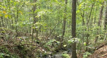A great path that leads to the stream and a bridge to cross to the other portion of the property that has nice views too.