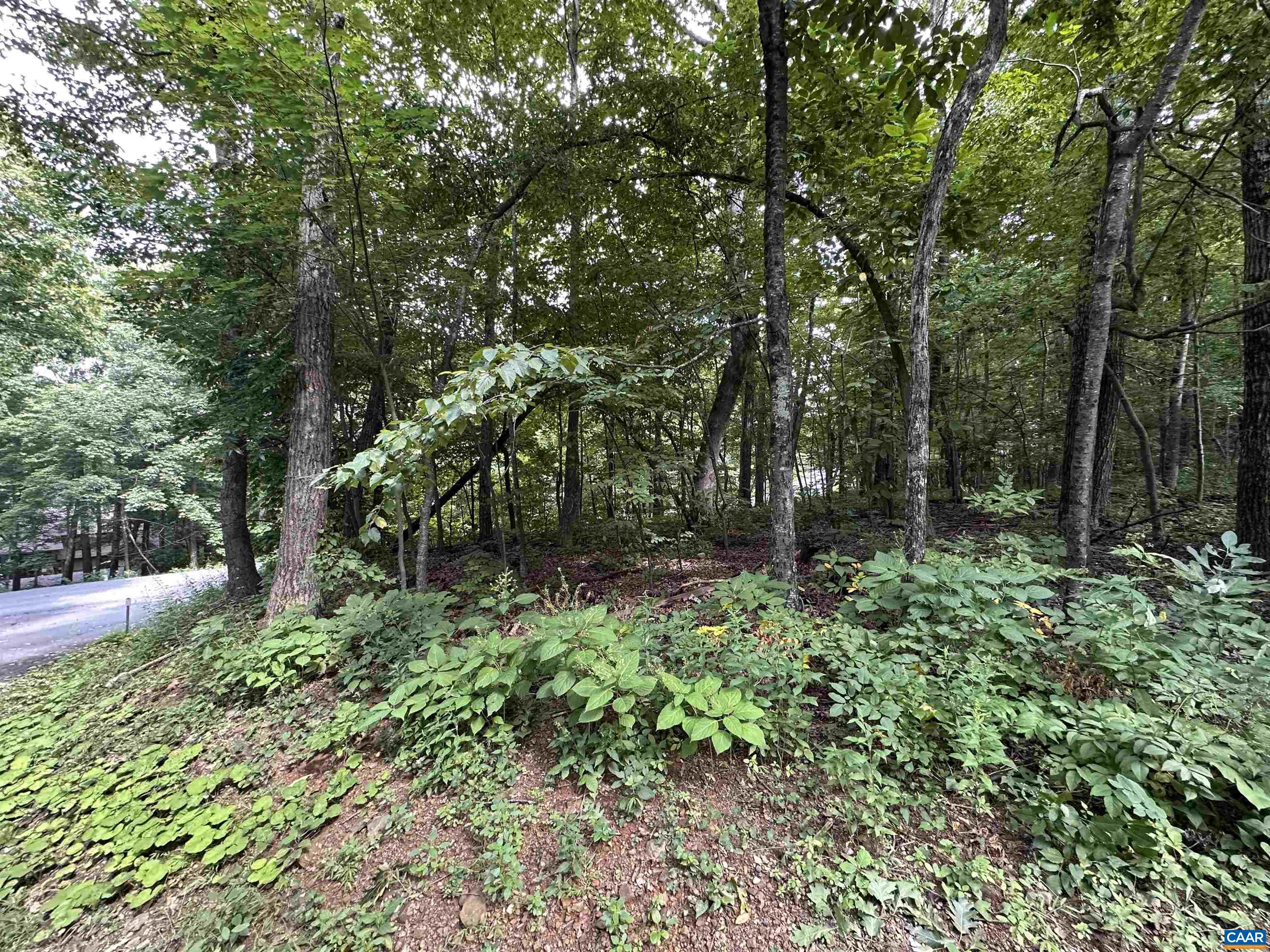11 FAIRWAY OAKS LN, WINTERGREEN RESORT, Virginia 22967, ,Land,11 FAIRWAY OAKS LN,680815 MLS # 680815